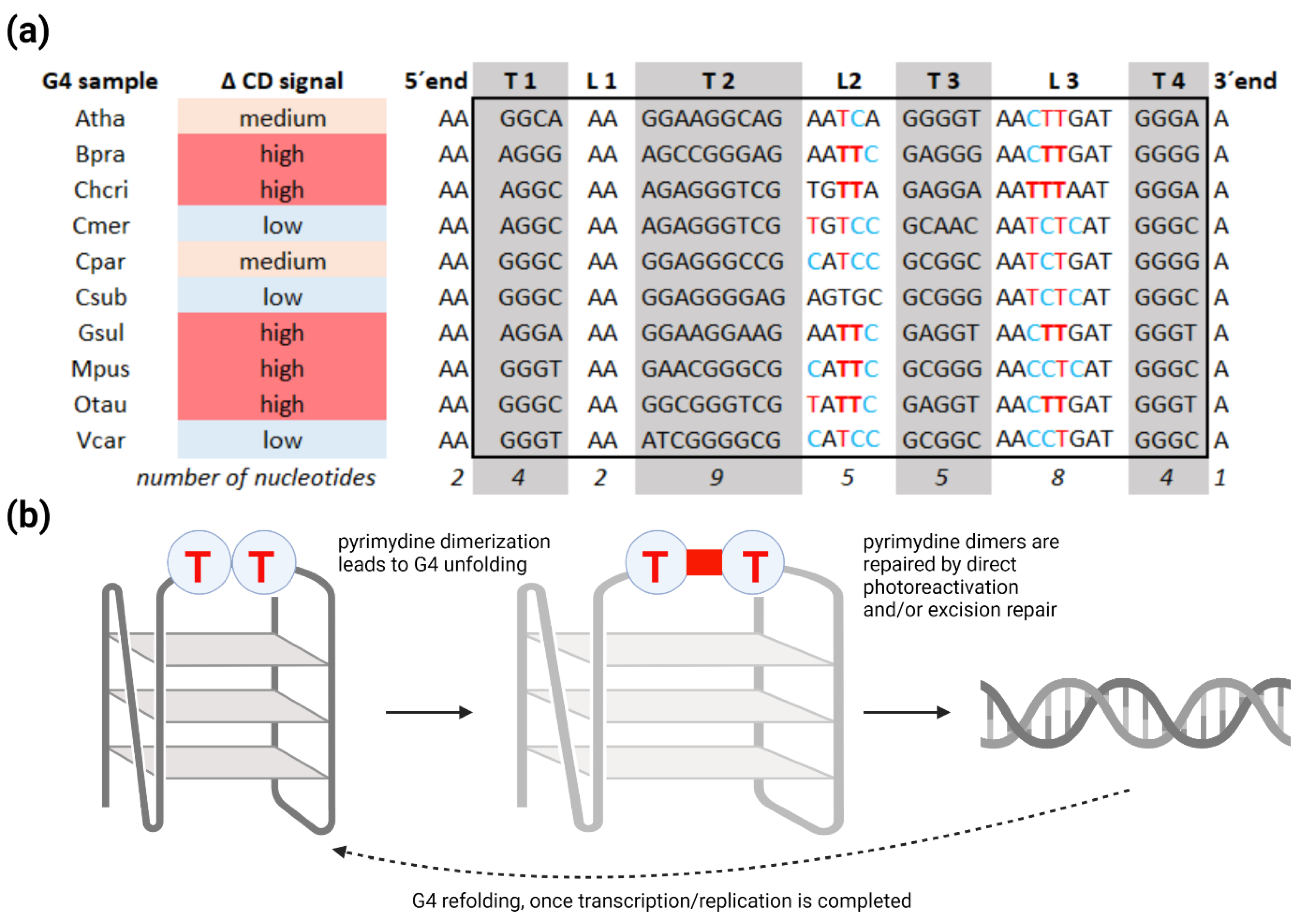Ijms 22 07381 g005 550