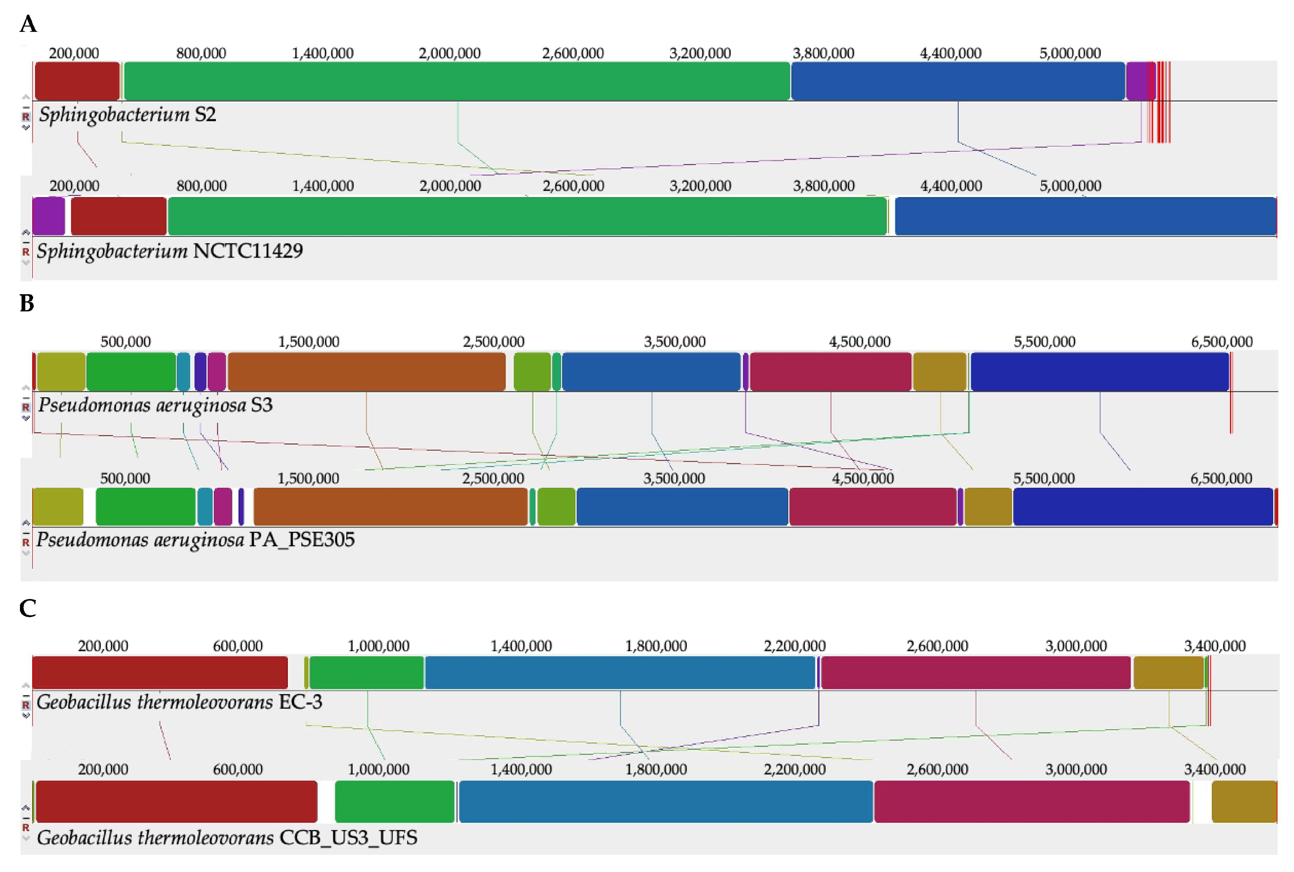 Ijms 22 07385 g002 Ijms 22 07385 g002