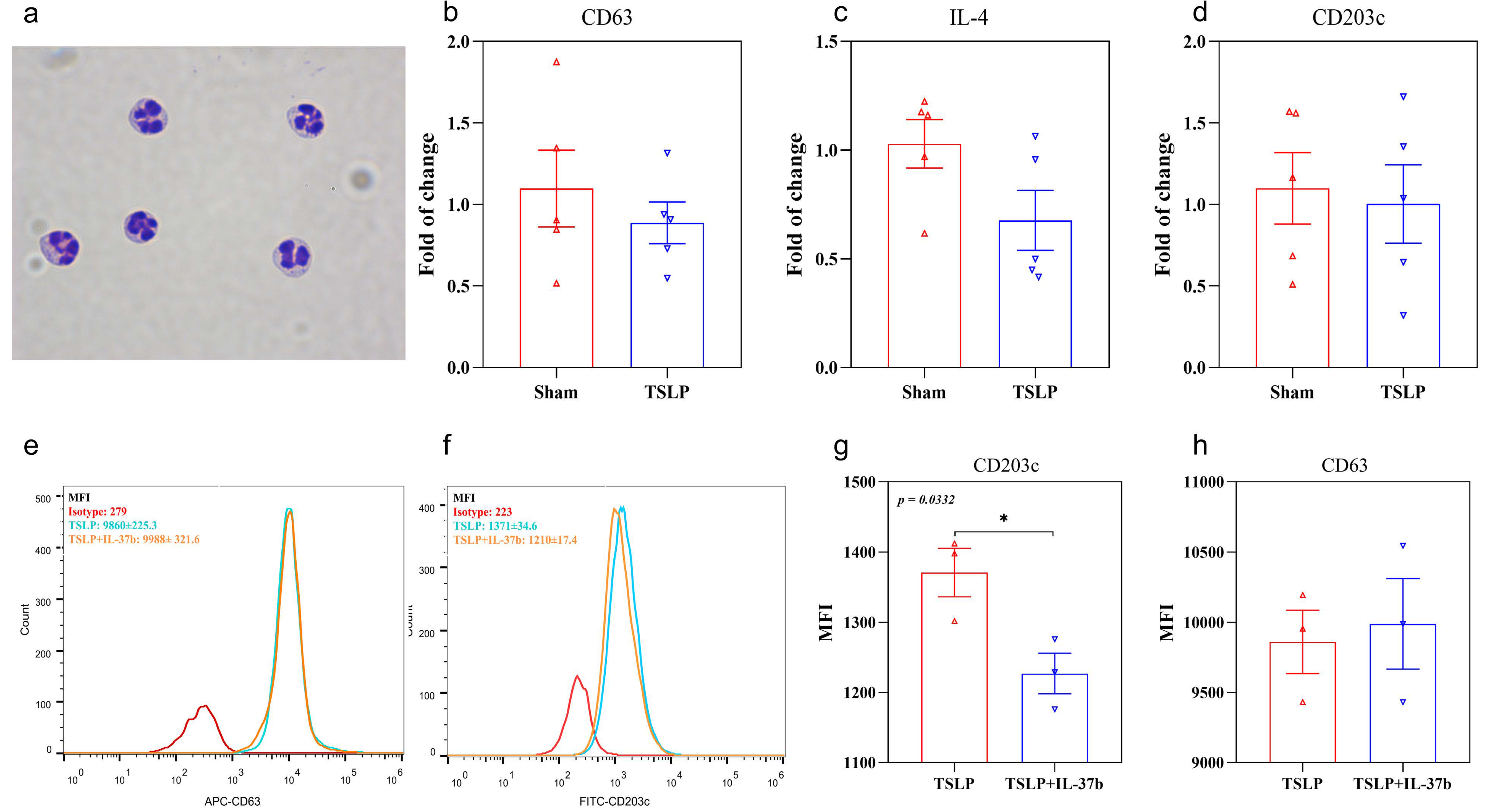 Ijms 22 07393 g002 550