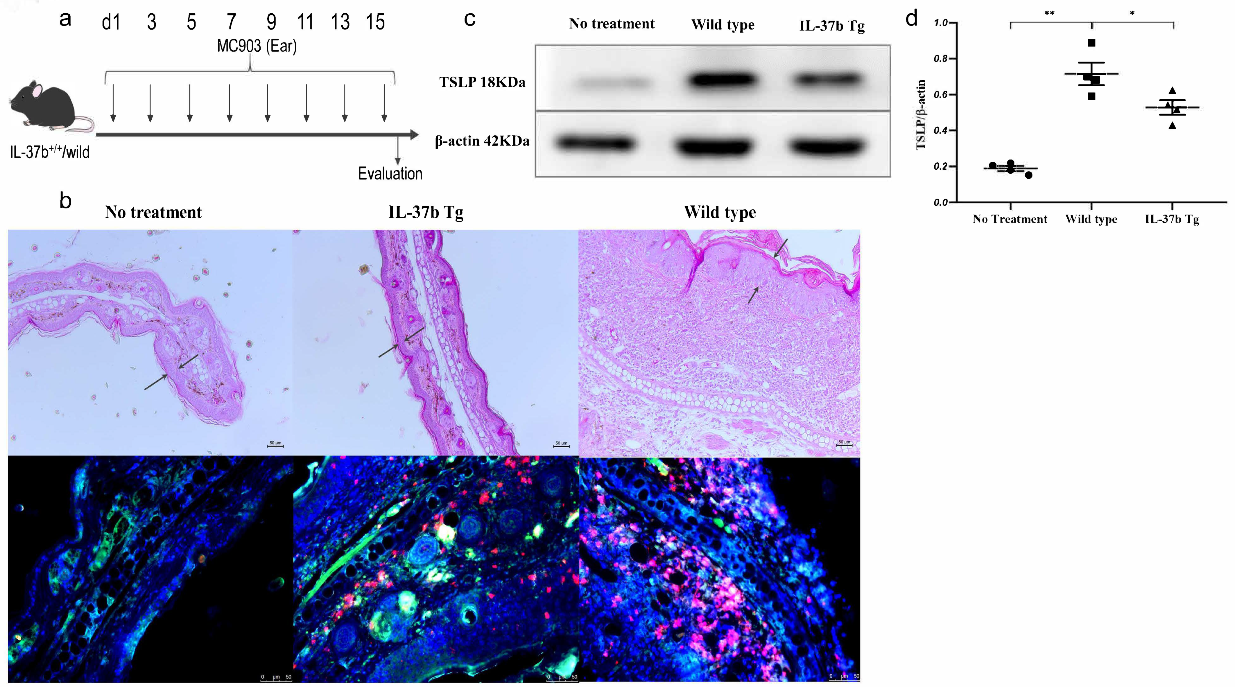 Ijms 22 07393 g007 550