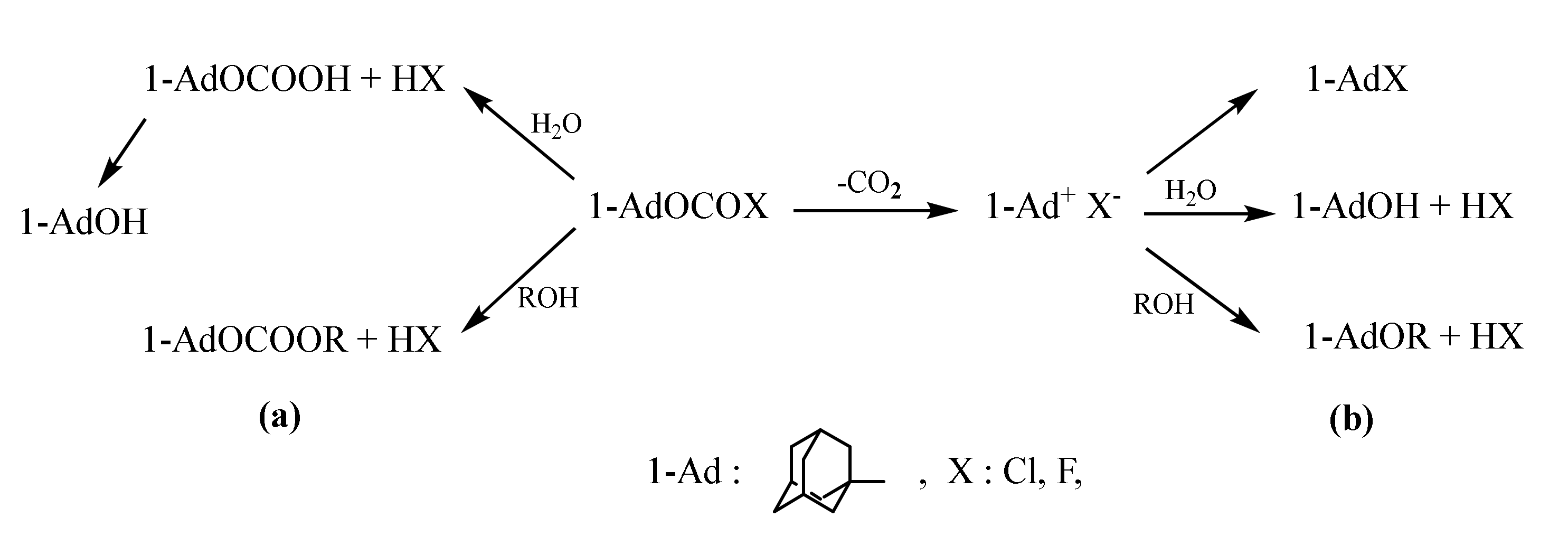 Ijms 22 07394 sch001