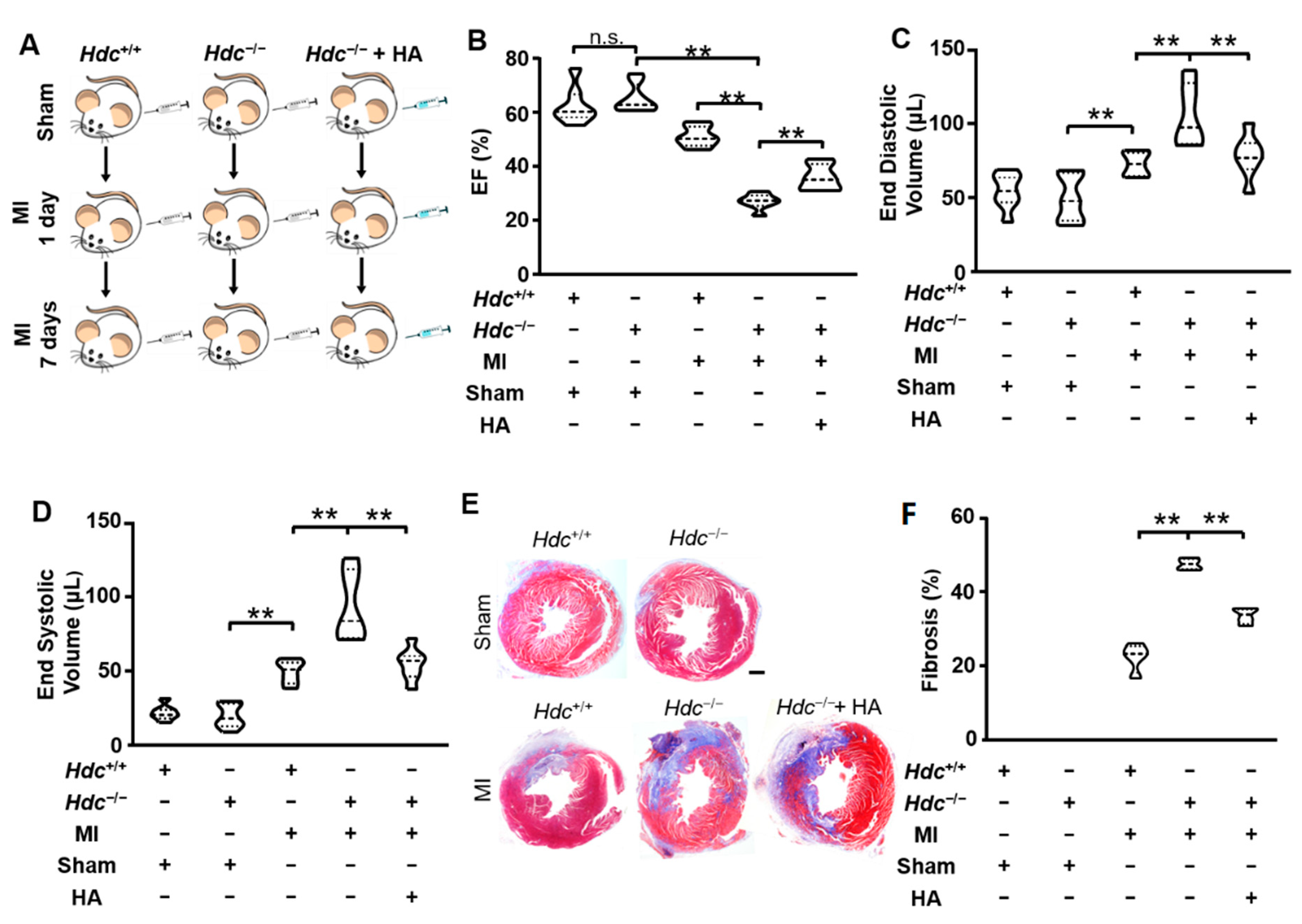 Ijms 22 07401 g001 550