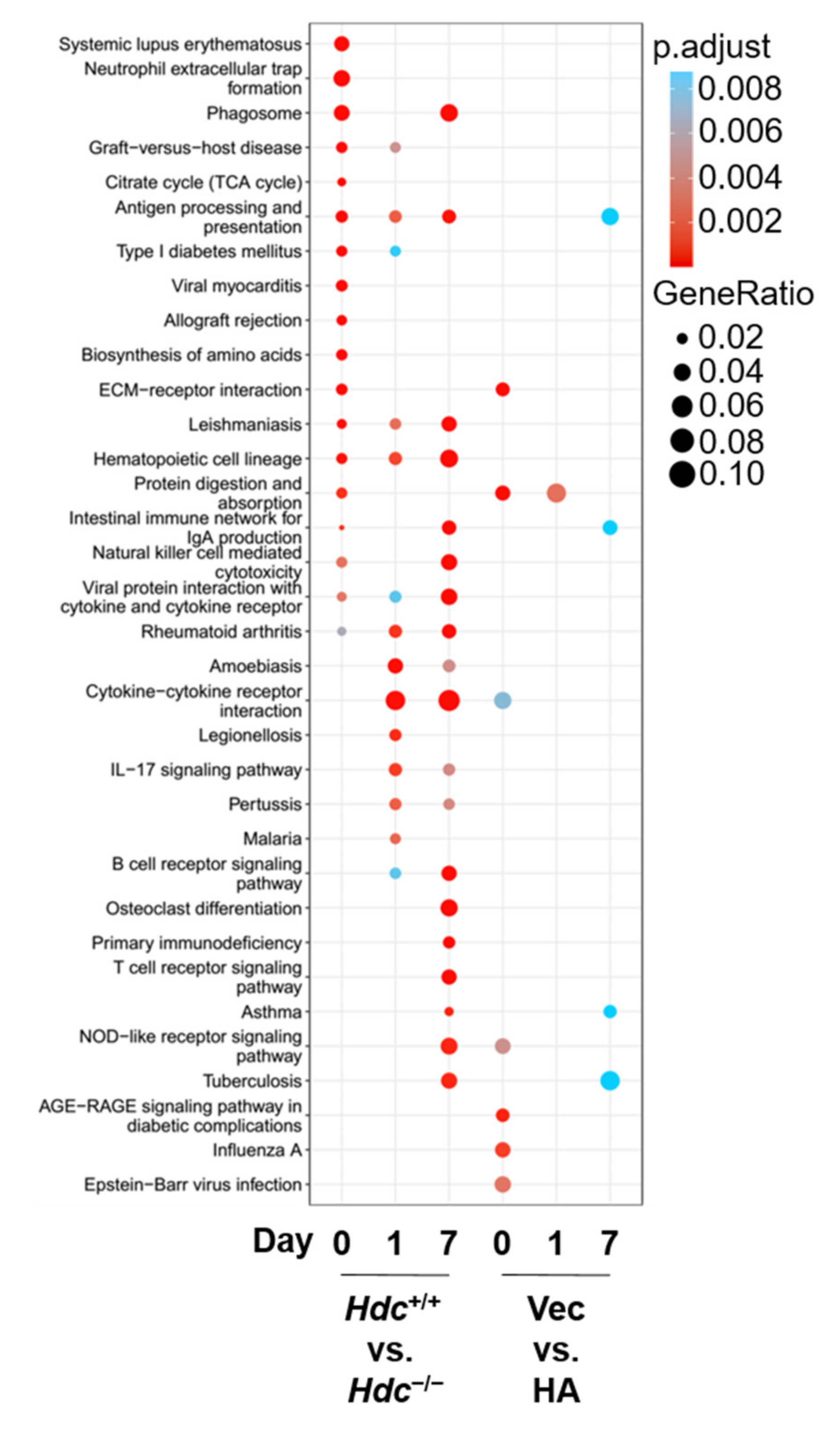 Ijms 22 07401 g004 550