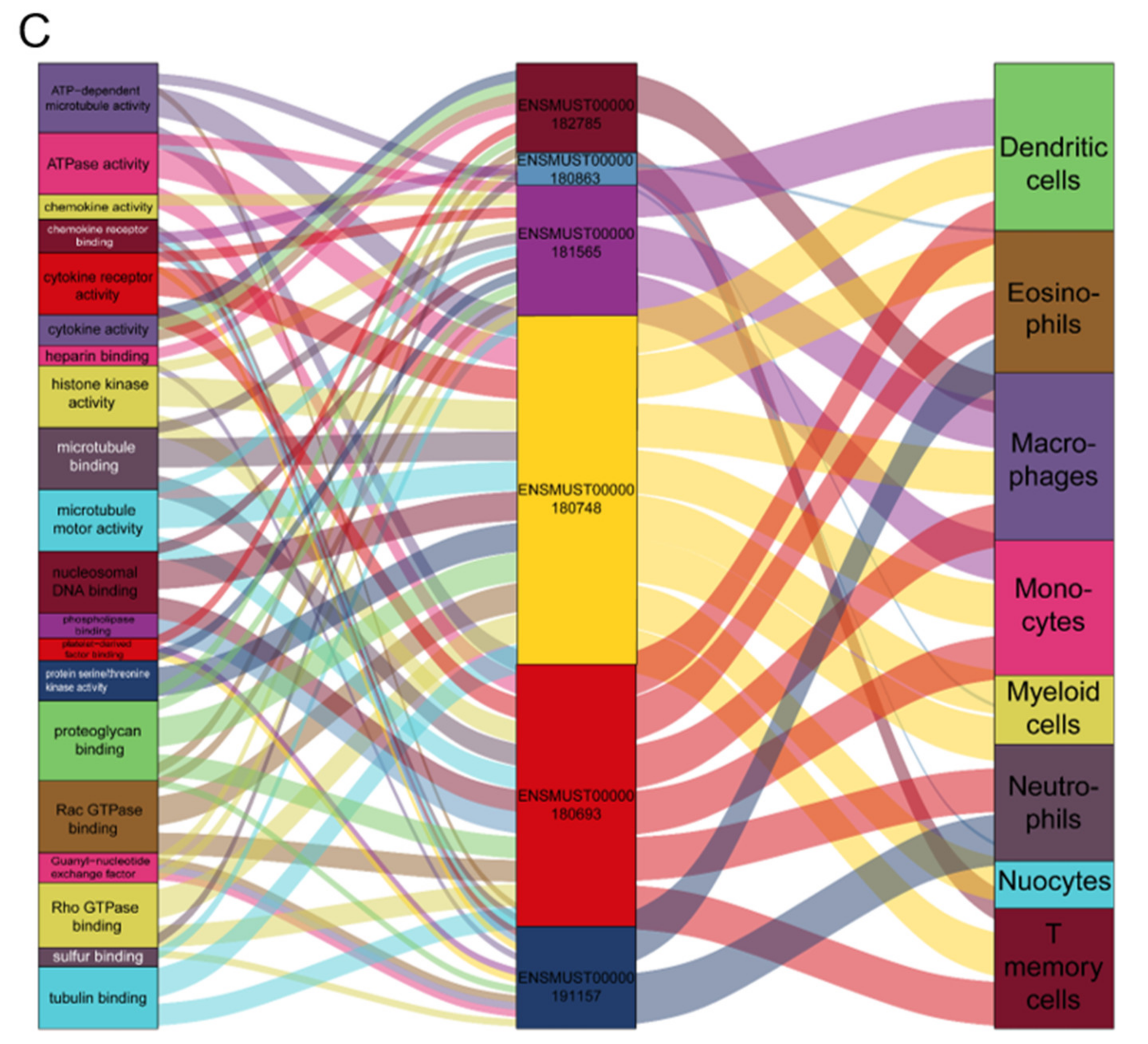 Ijms 22 07401 g006b 550