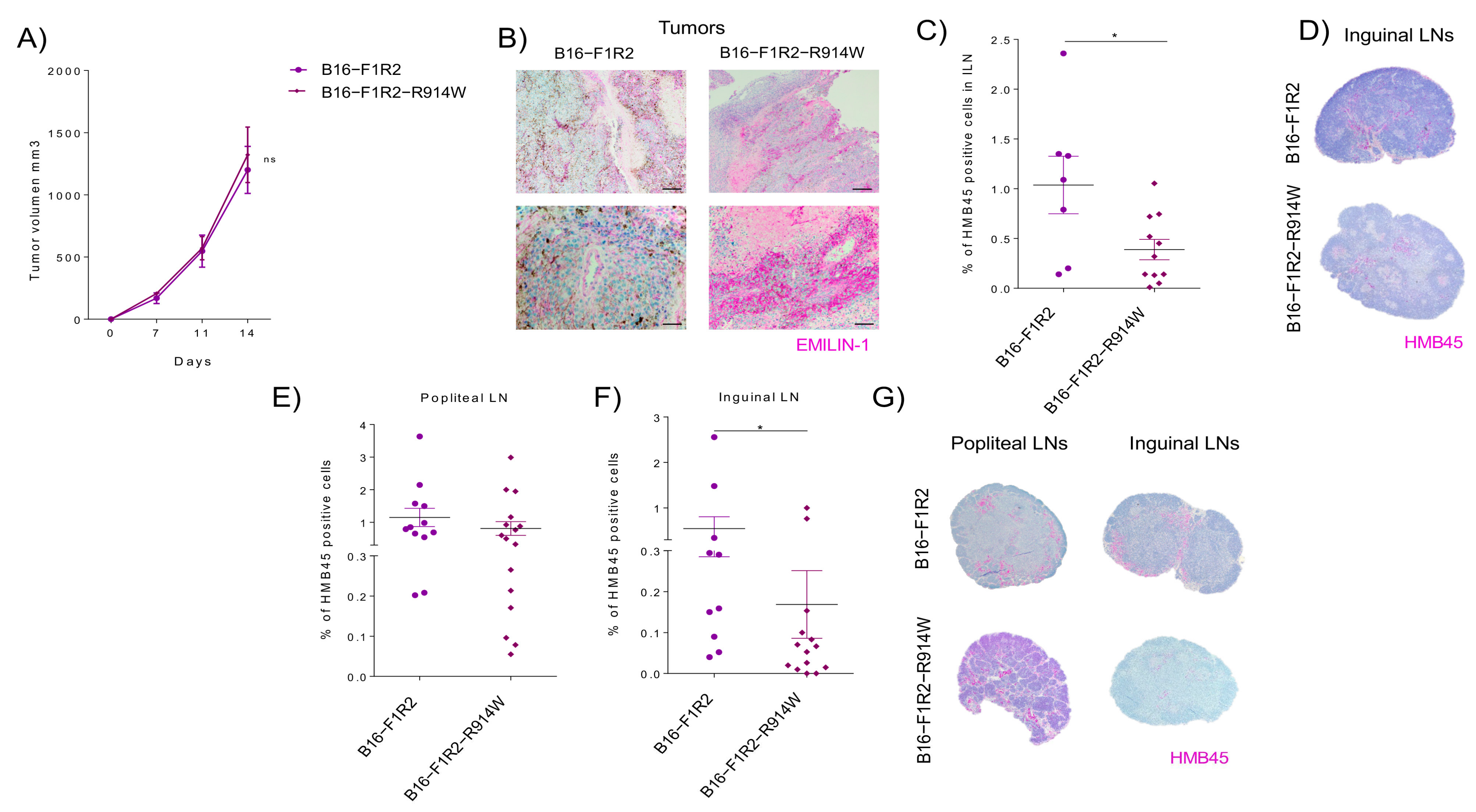 Ijms 22 07406 g005 550