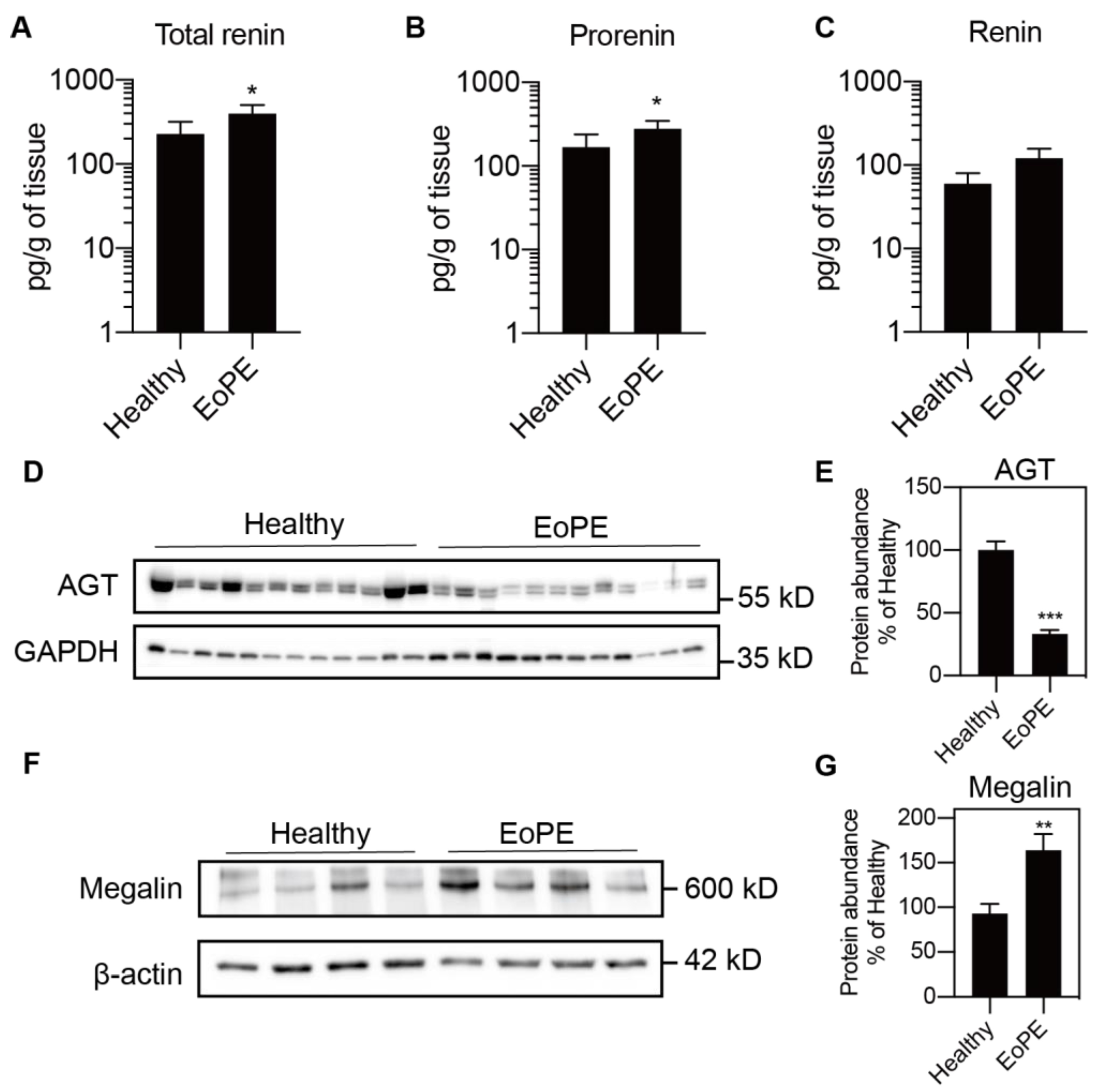 Ijms 22 07407 g002 Ijms 22 07407 g002