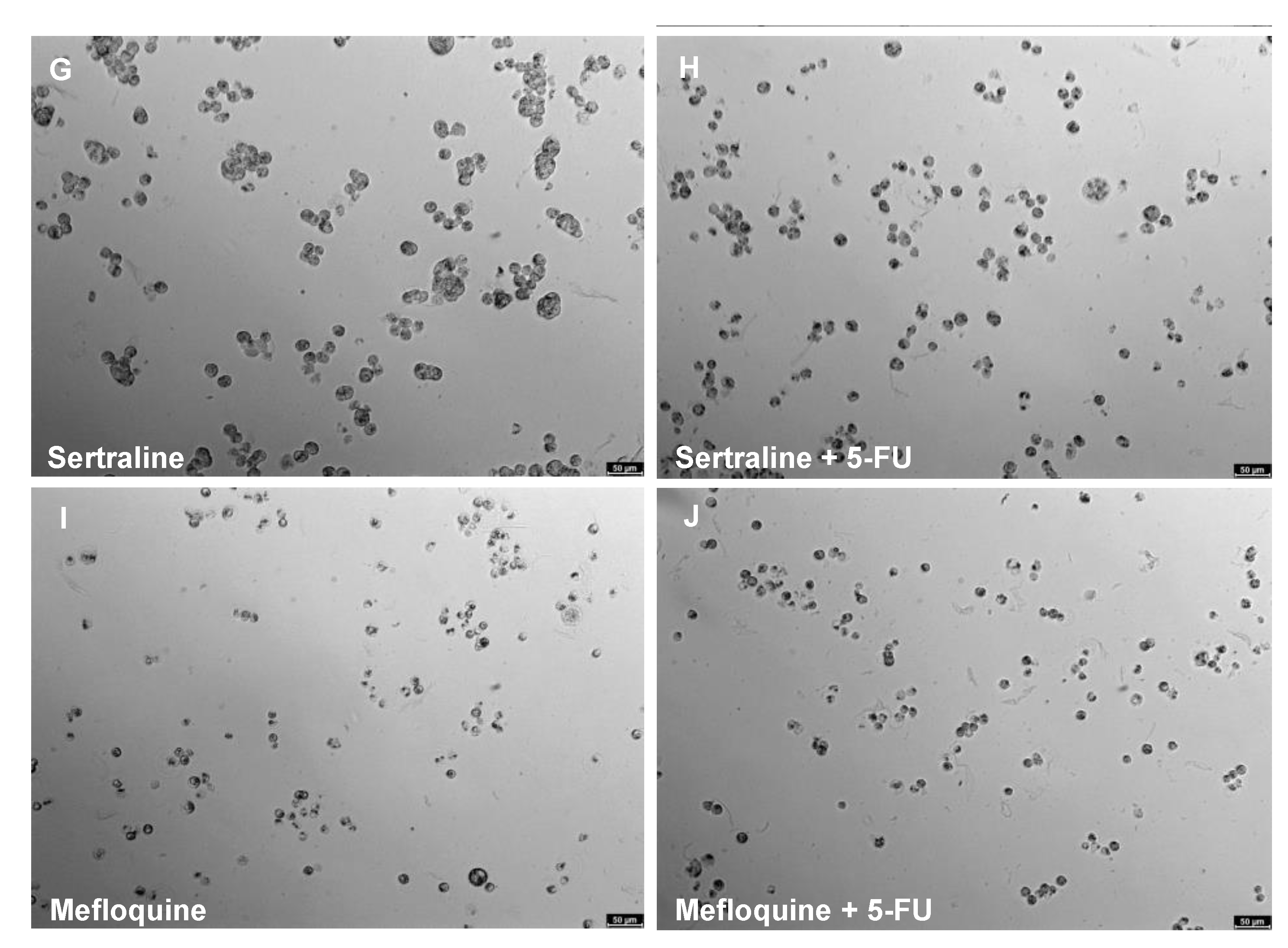 Ijms 22 07408 g005b 550