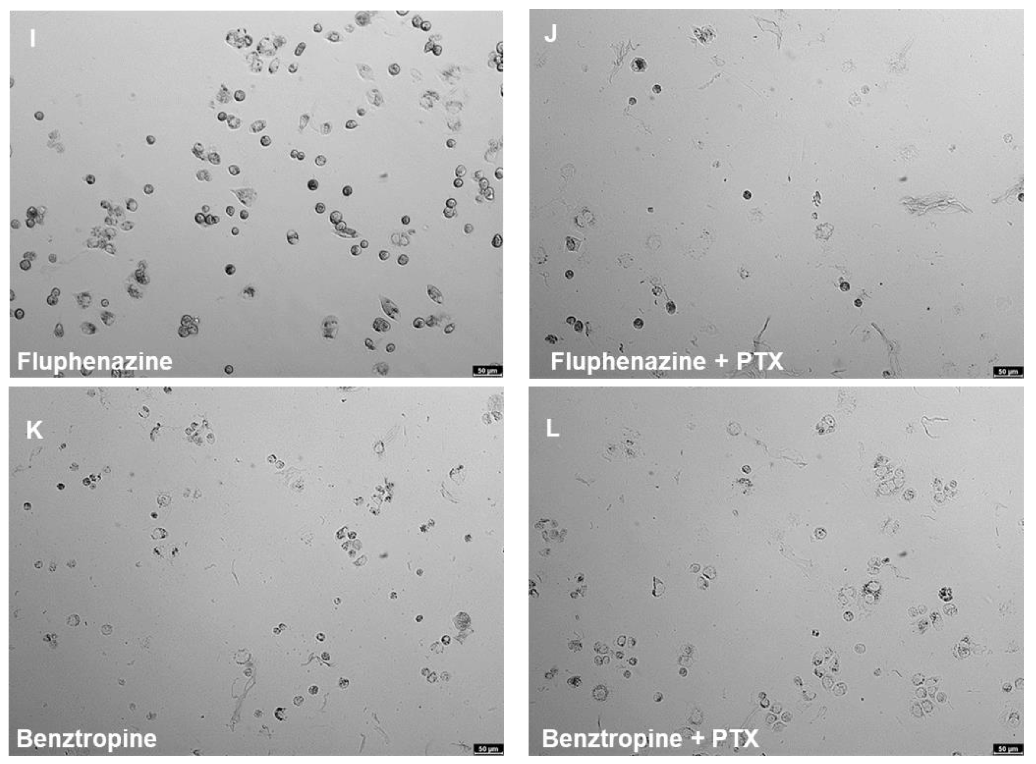 Ijms 22 07408 g016b 550