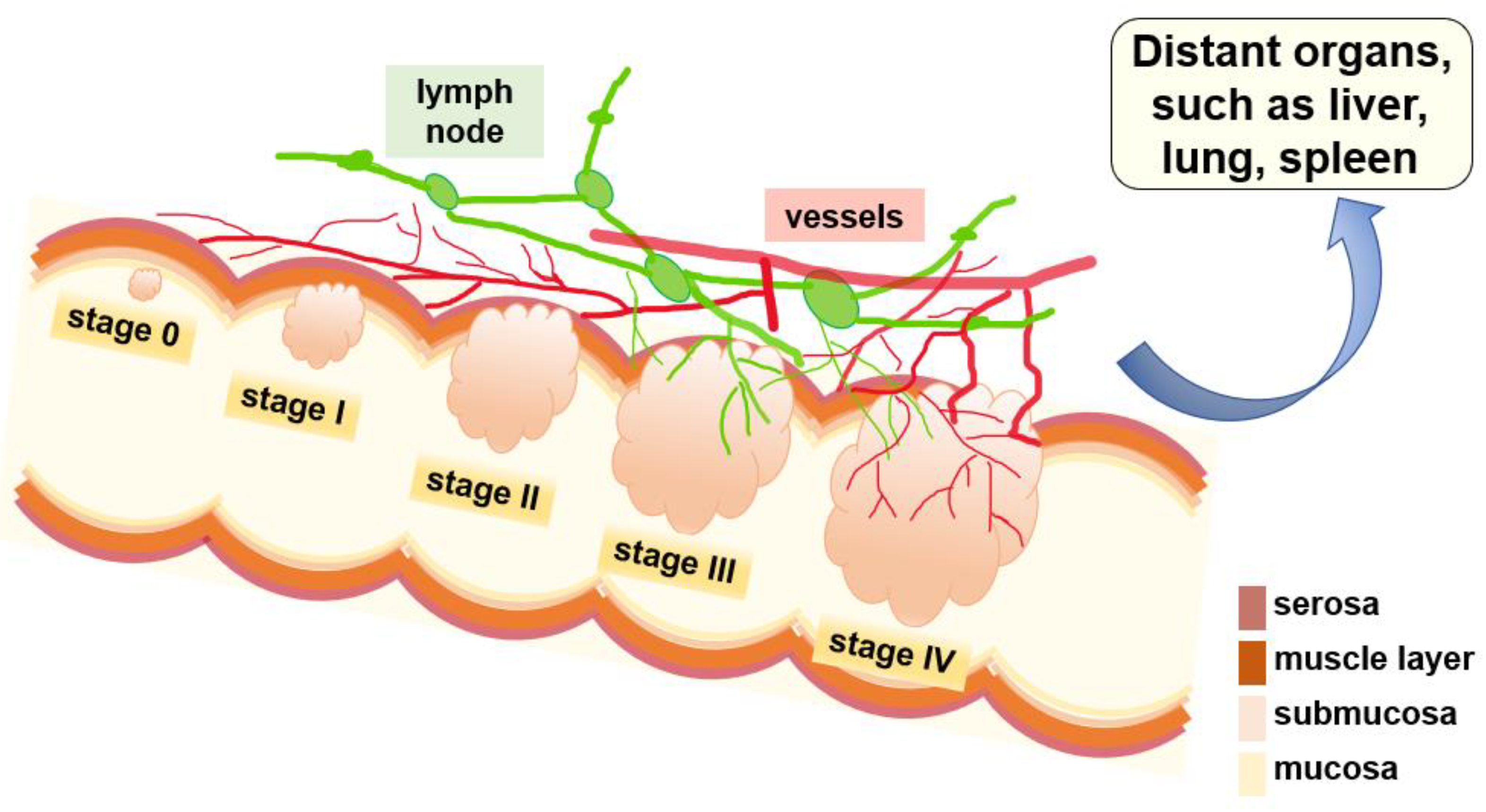 Ijms 22 07429 g001 550