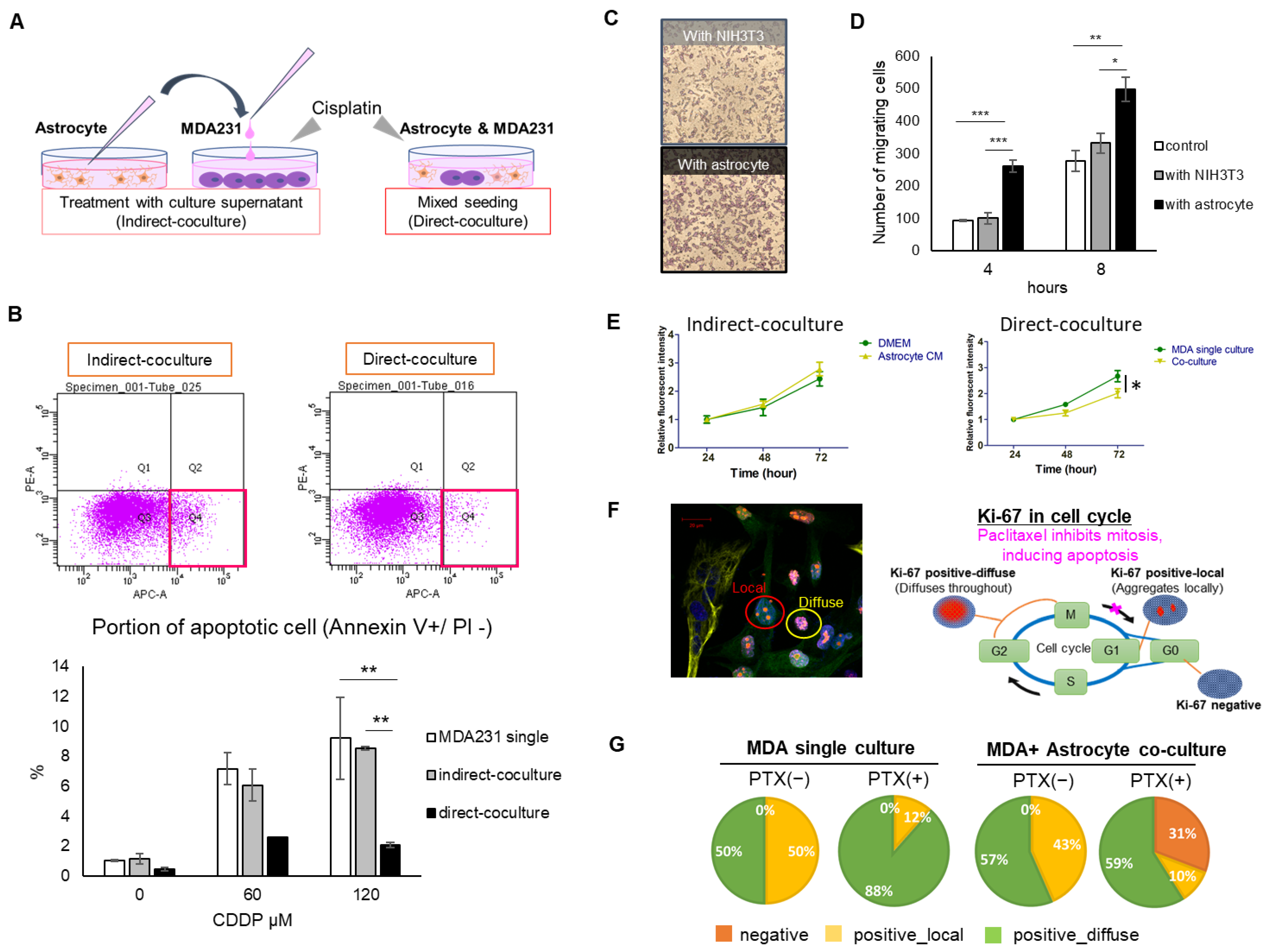 Ijms 22 07430 g001 550
