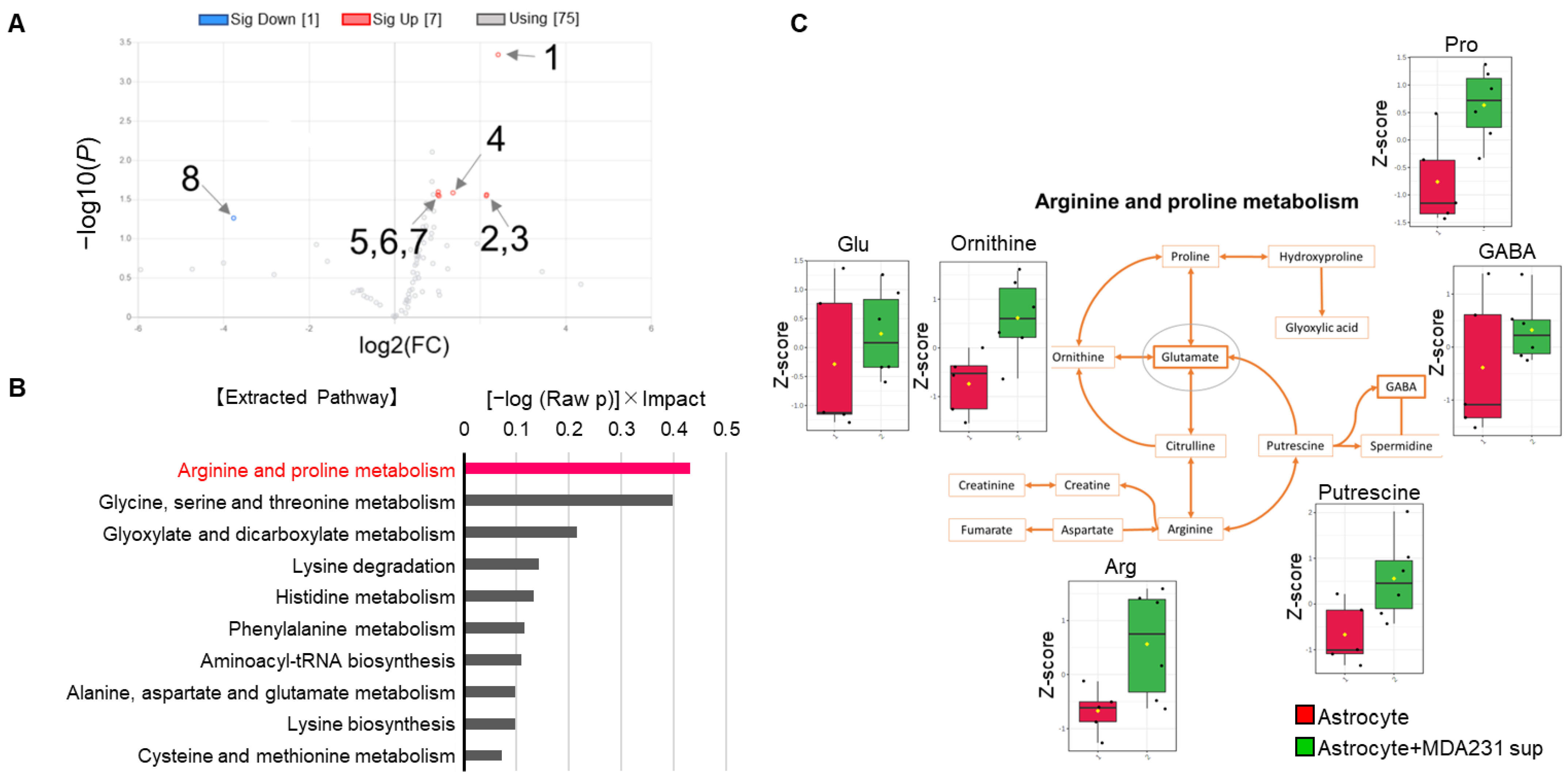 Ijms 22 07430 g002 550