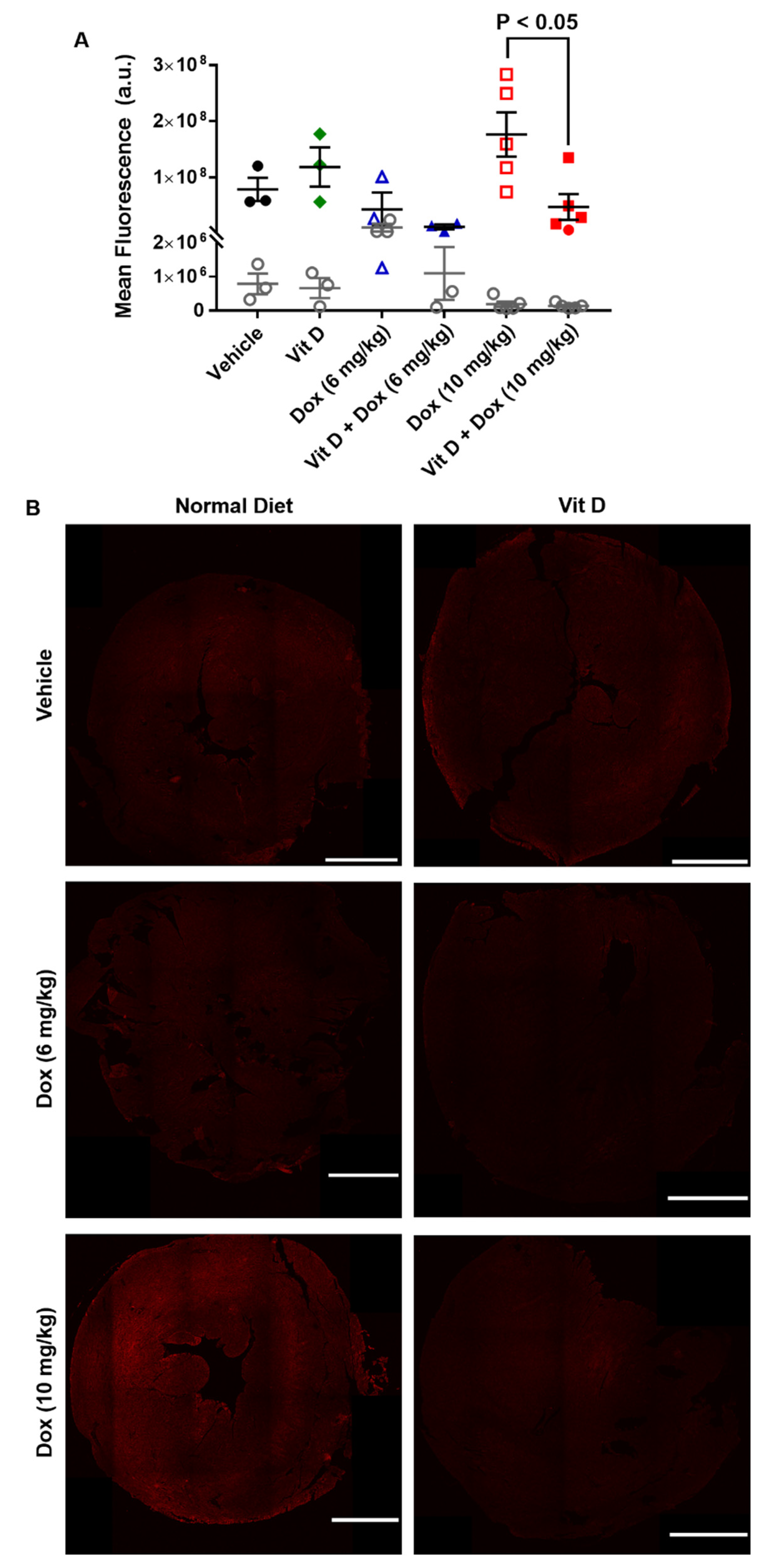 Ijms 22 07439 g005 550