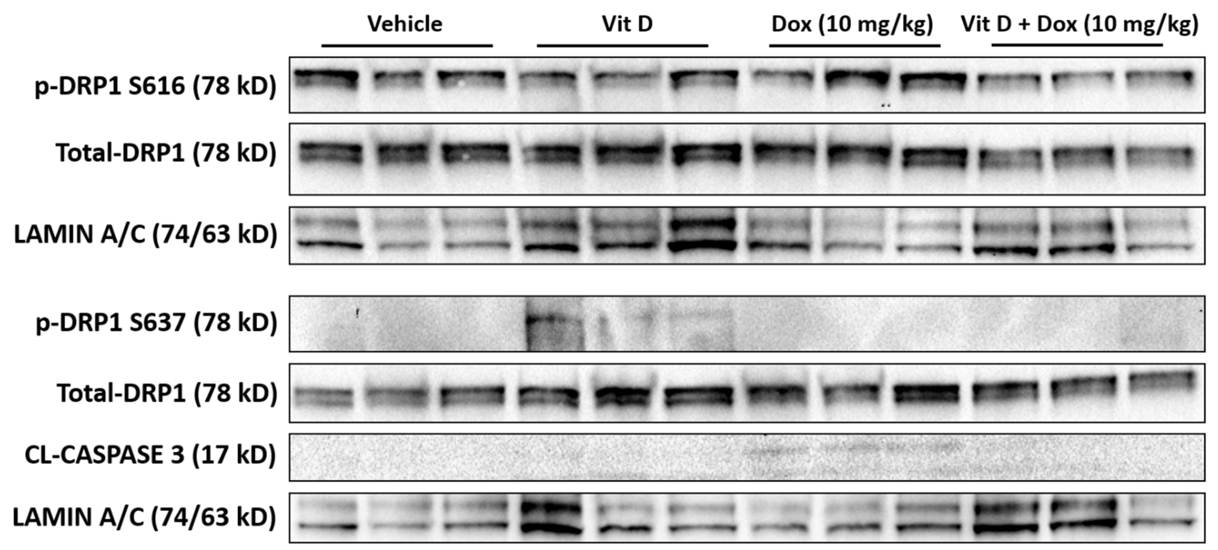 Ijms 22 07439 g006 550