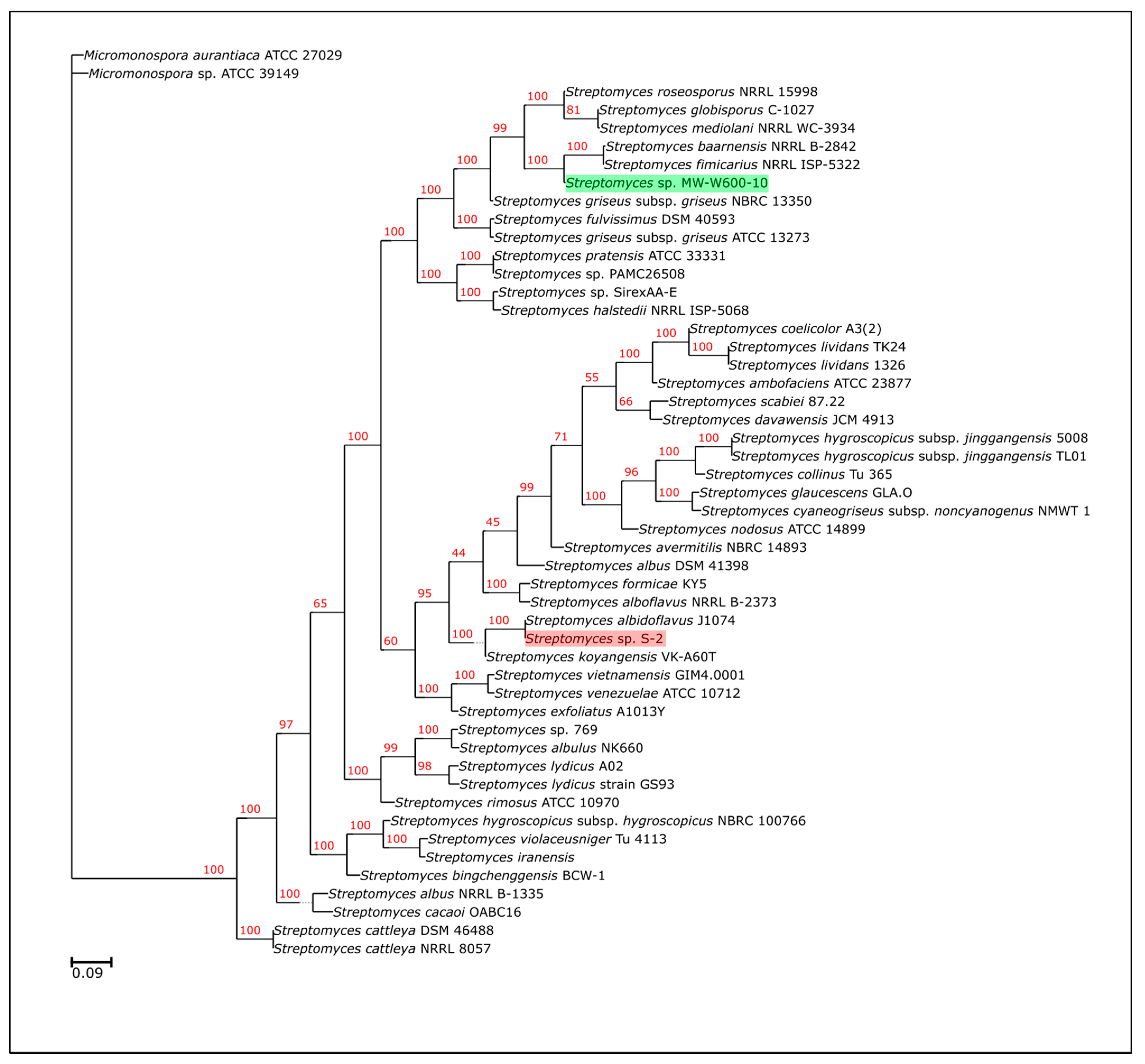 Ijms 22 07441 g001 550