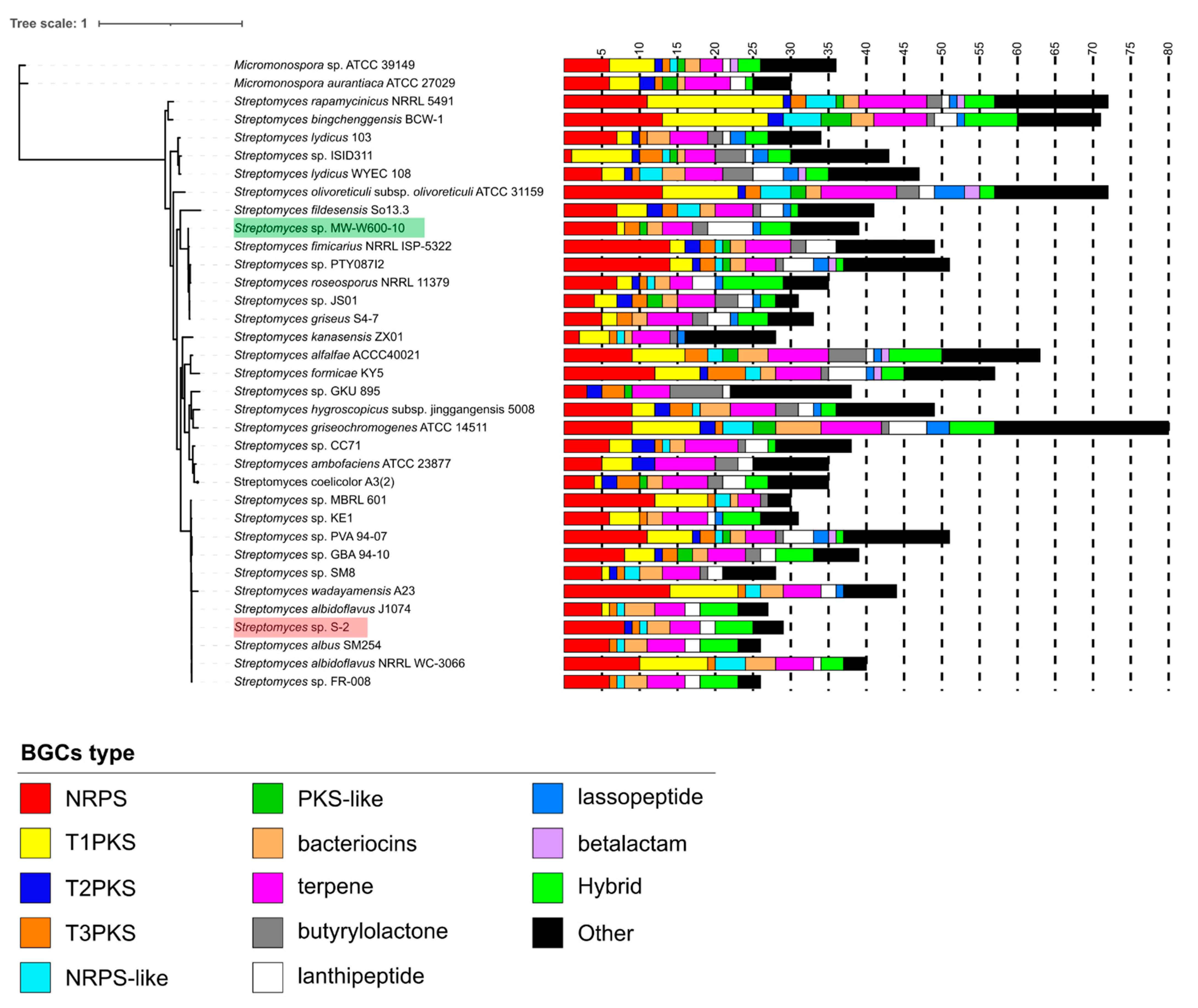 Ijms 22 07441 g006 550