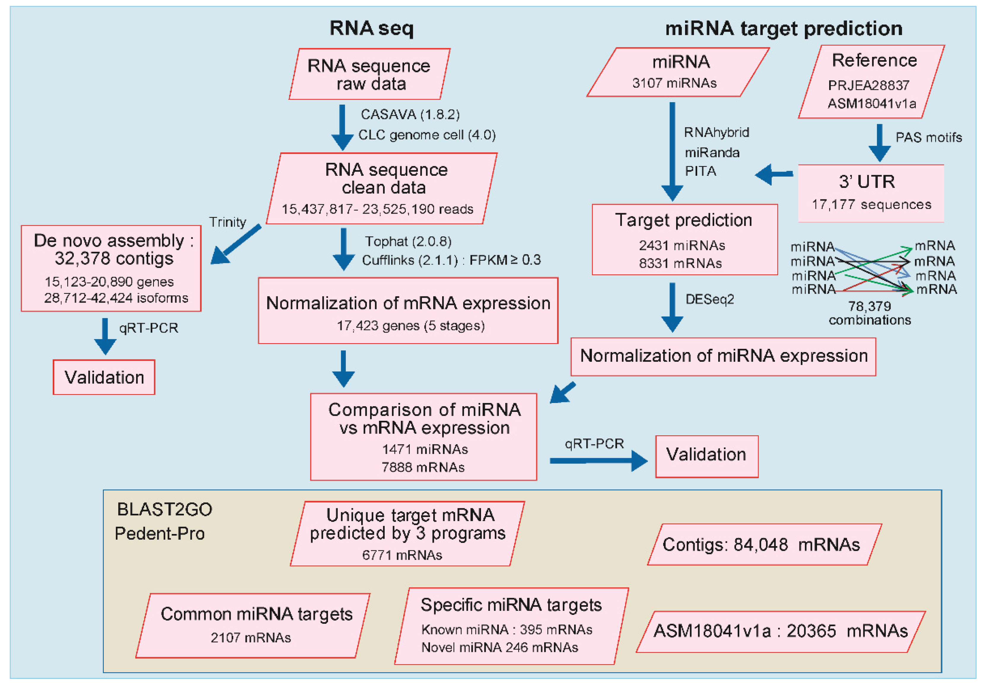Ijms 22 07442 g001 550