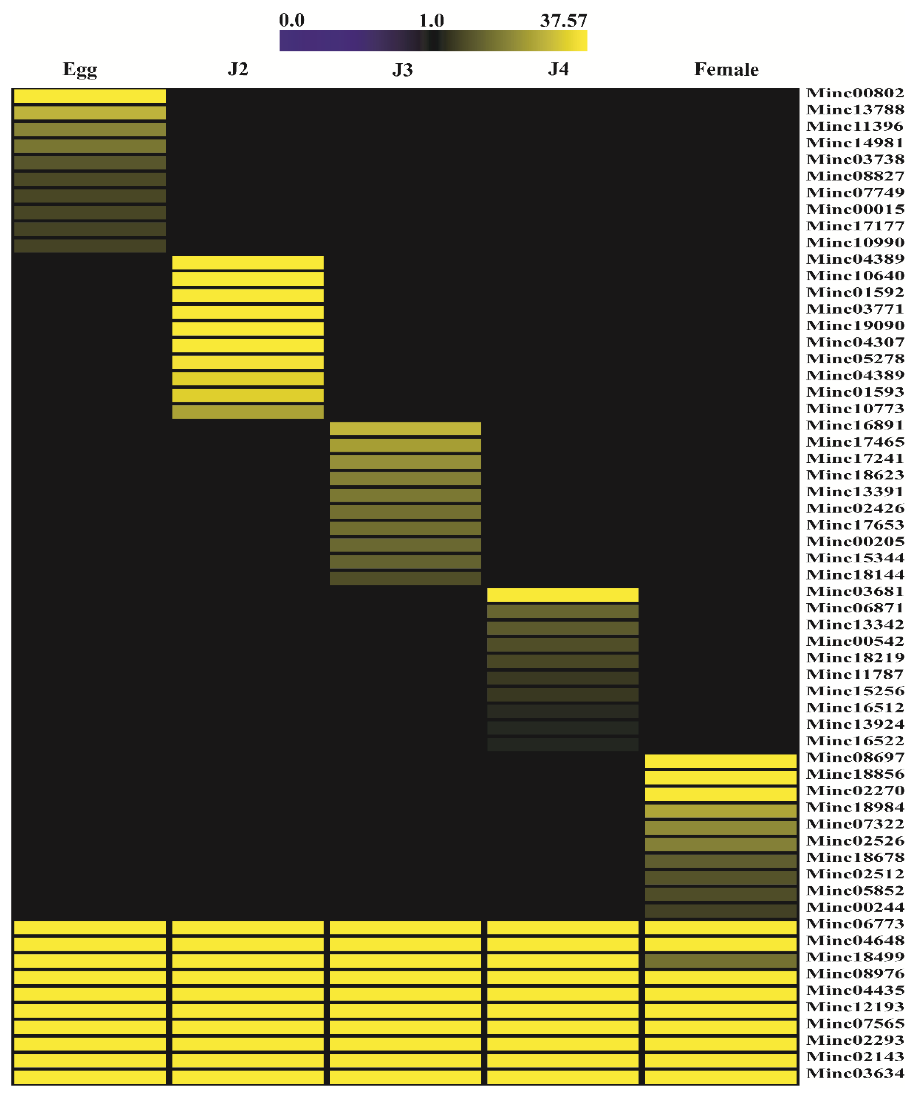Ijms 22 07442 g004 550