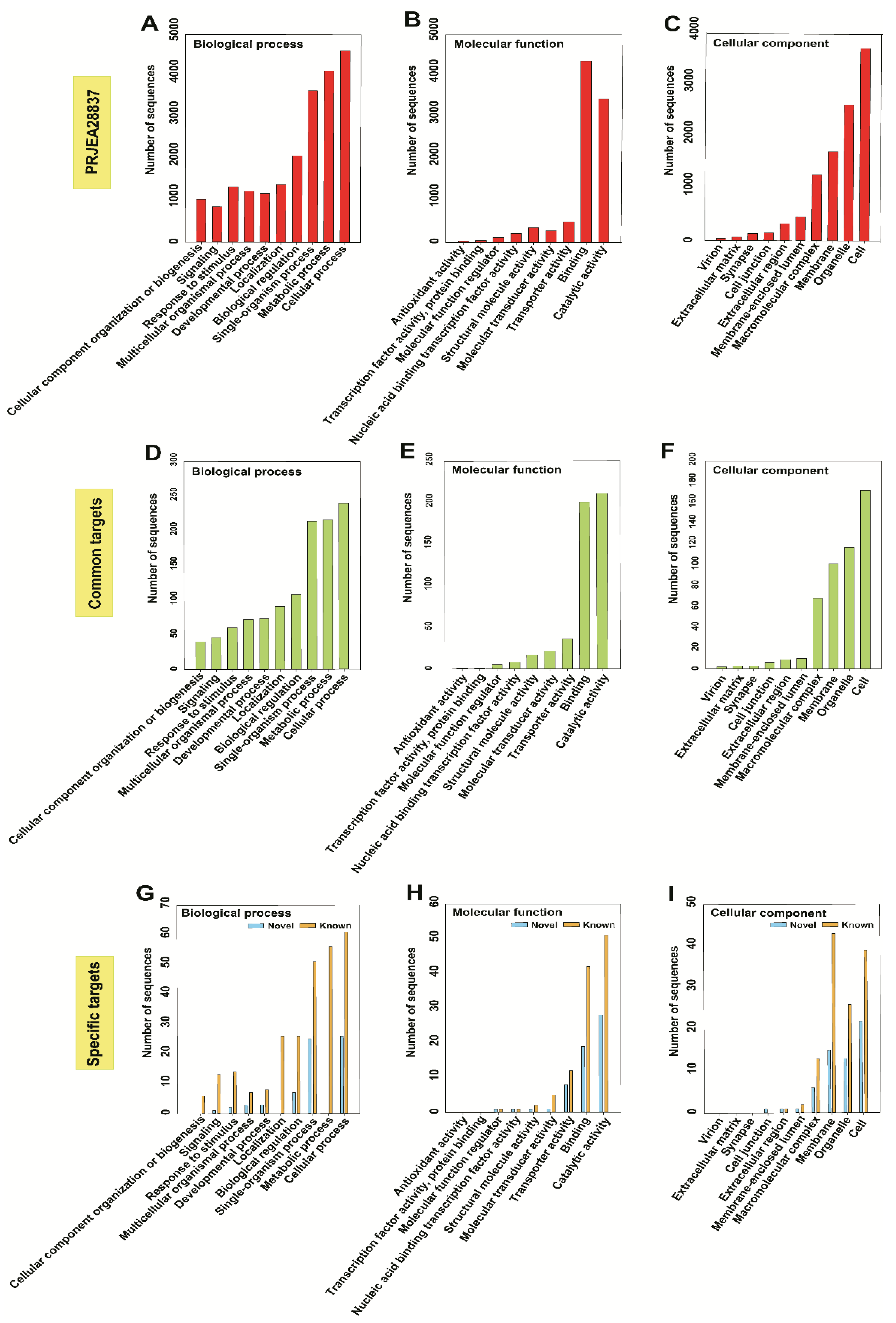 Ijms 22 07442 g007 550