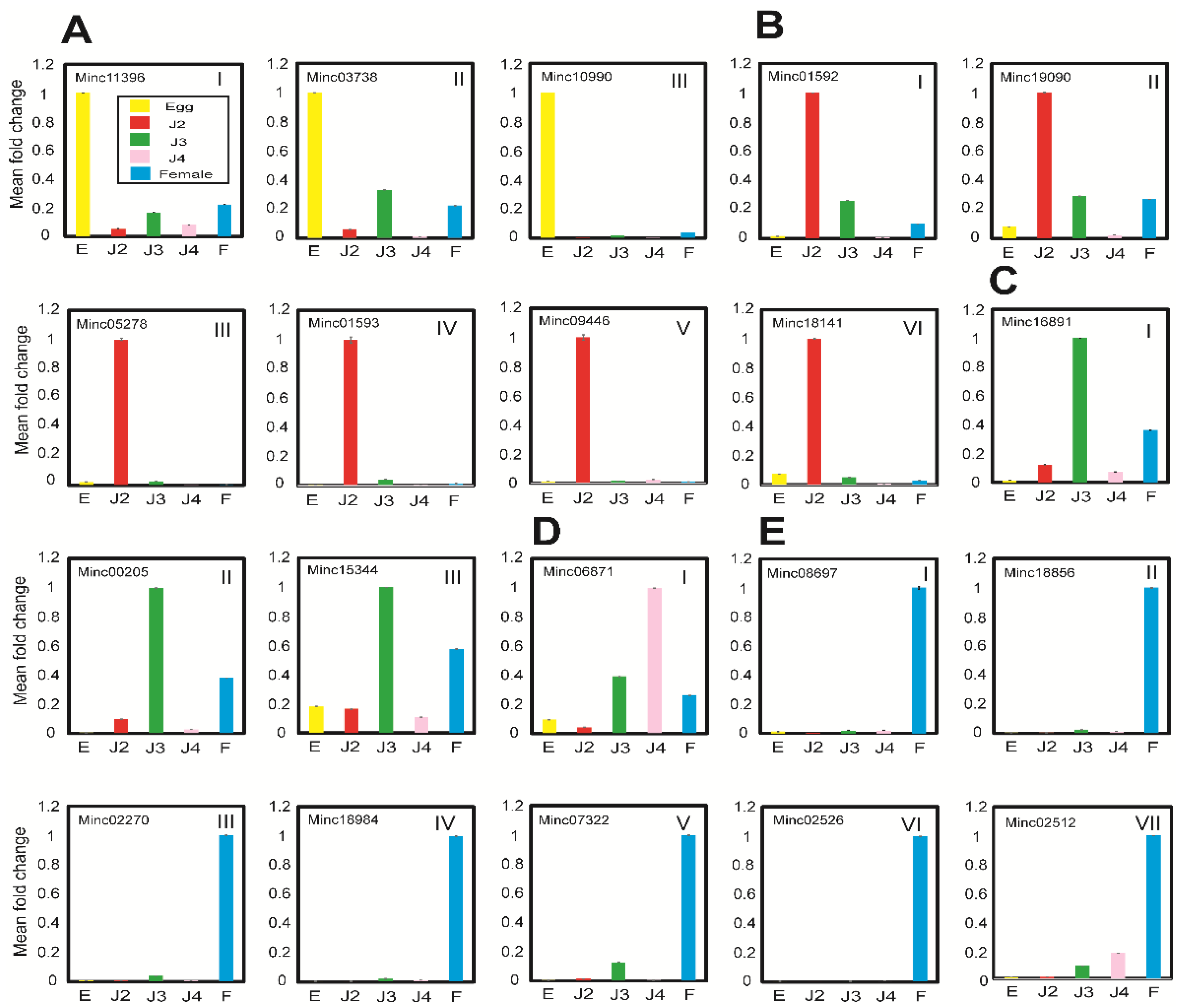 Ijms 22 07442 g008 550