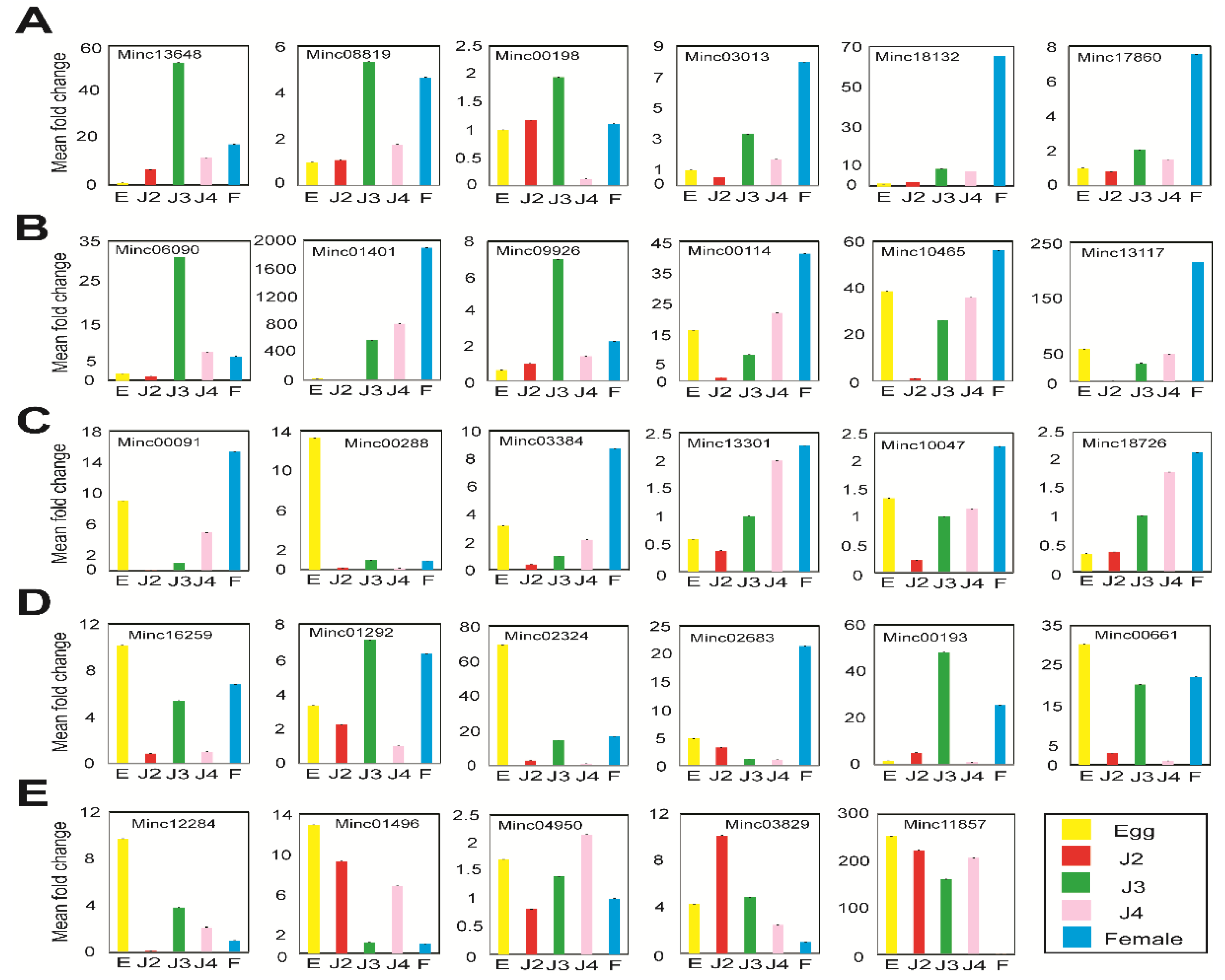 Ijms 22 07442 g009 550