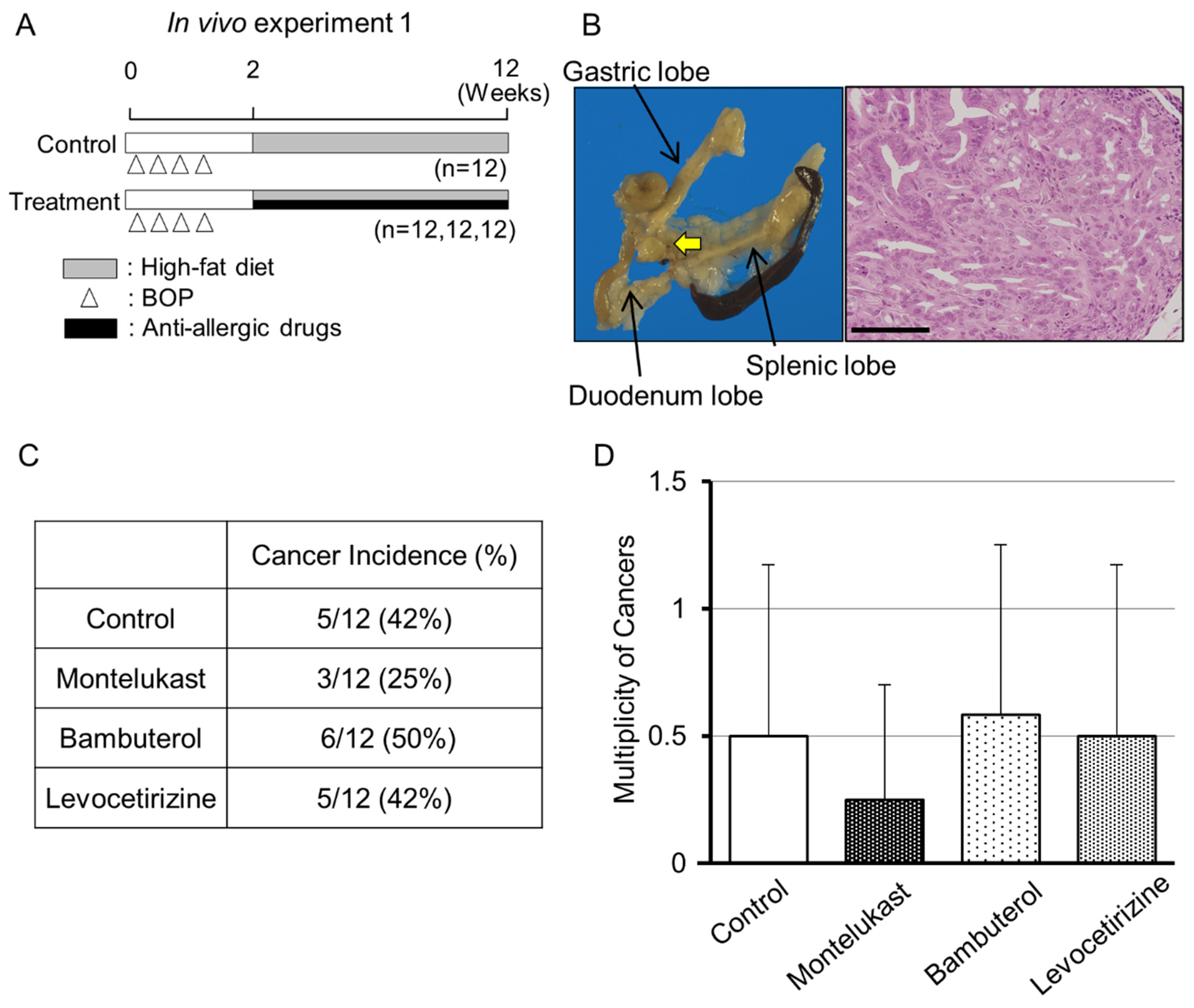 Ijms 22 07444 g001 550