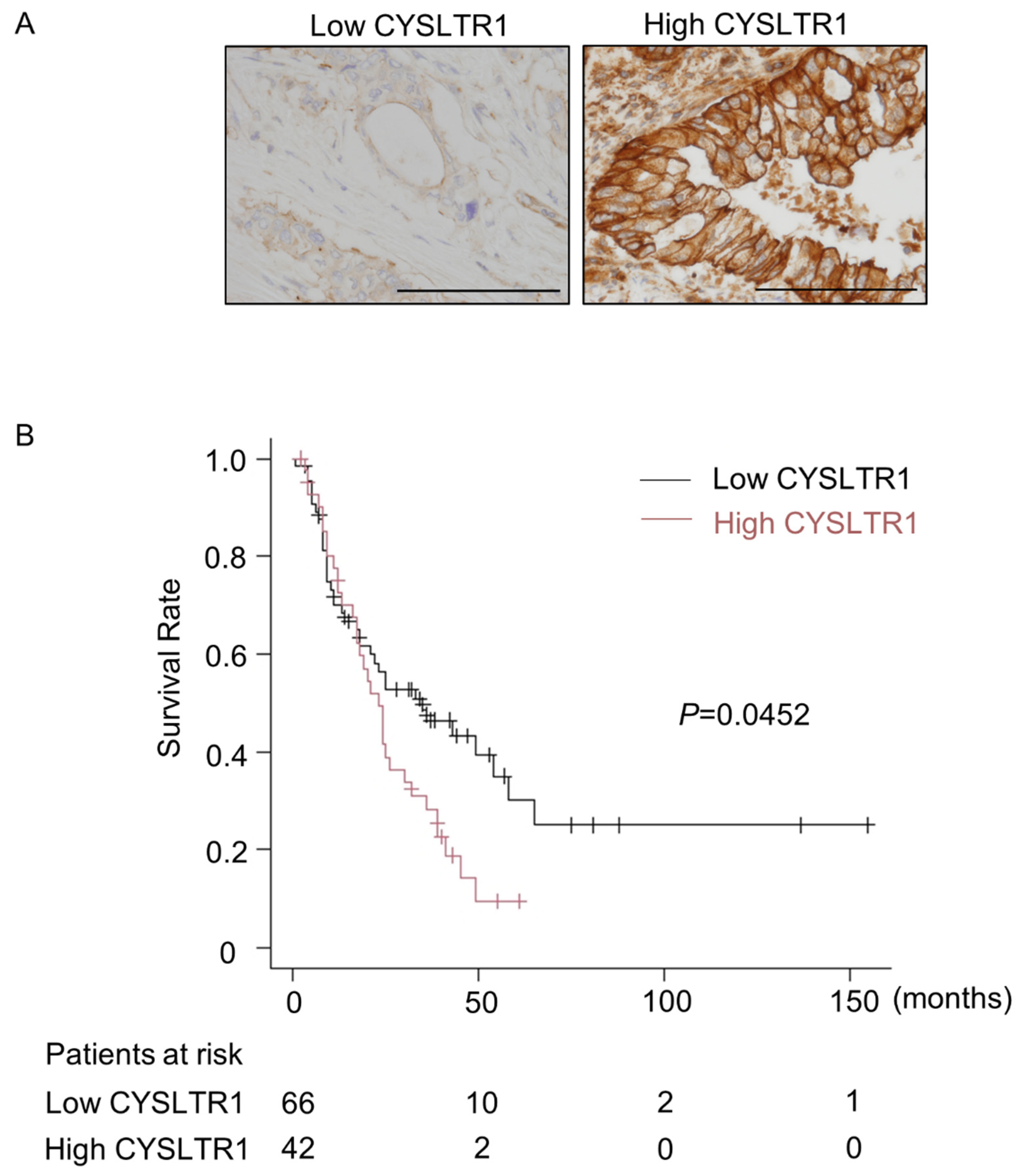 Ijms 22 07444 g007 550