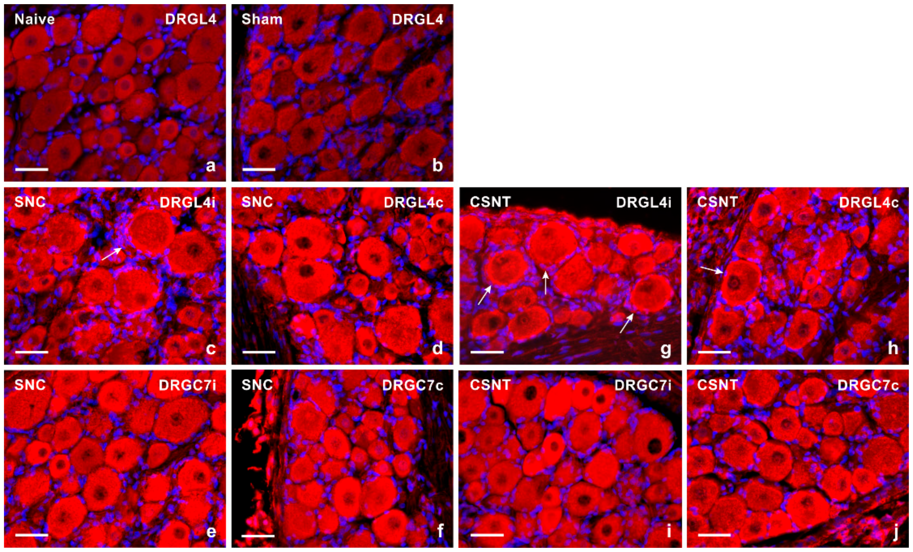 Ijms 22 07446 g001 550