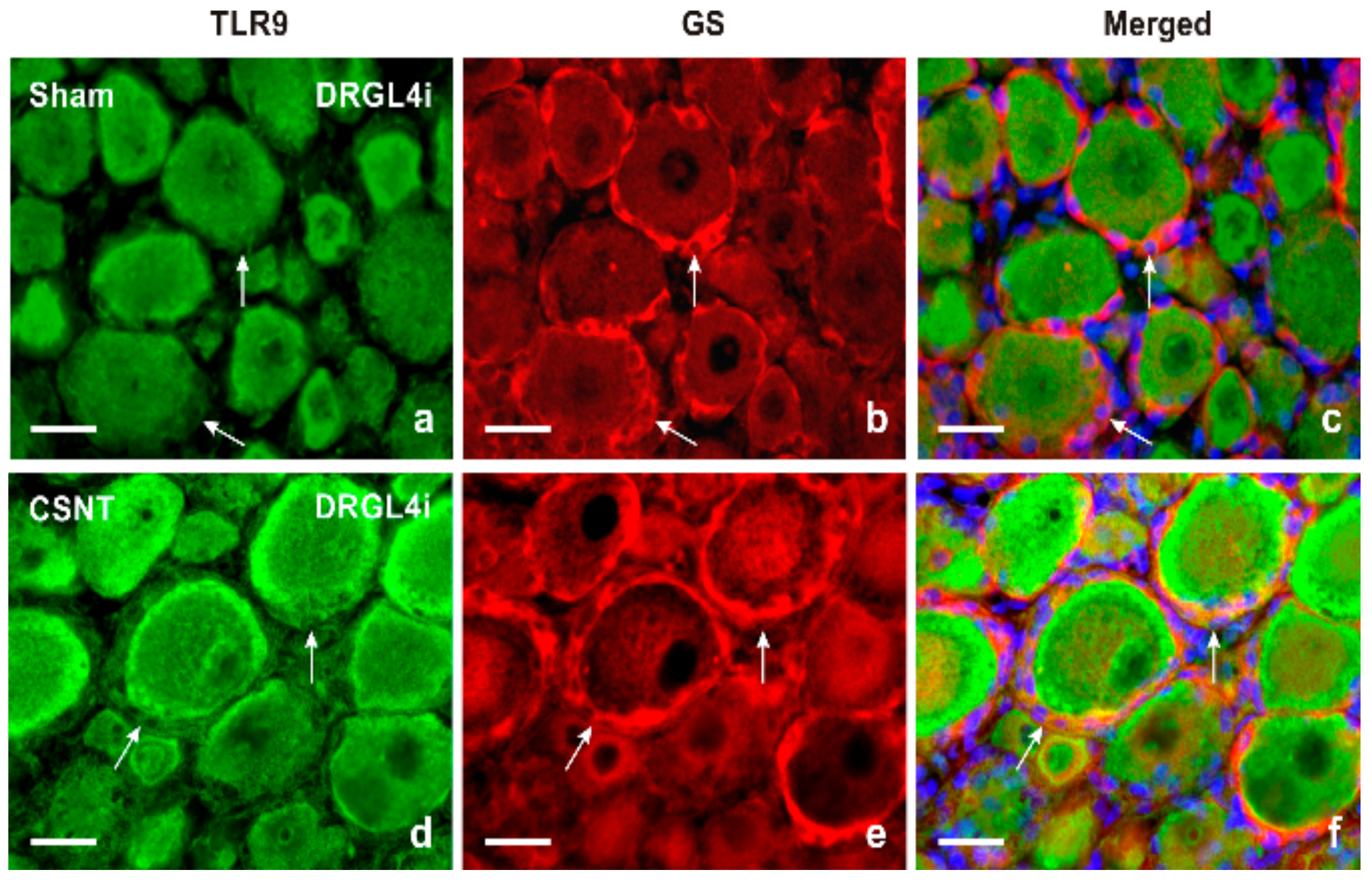 Ijms 22 07446 g002 550