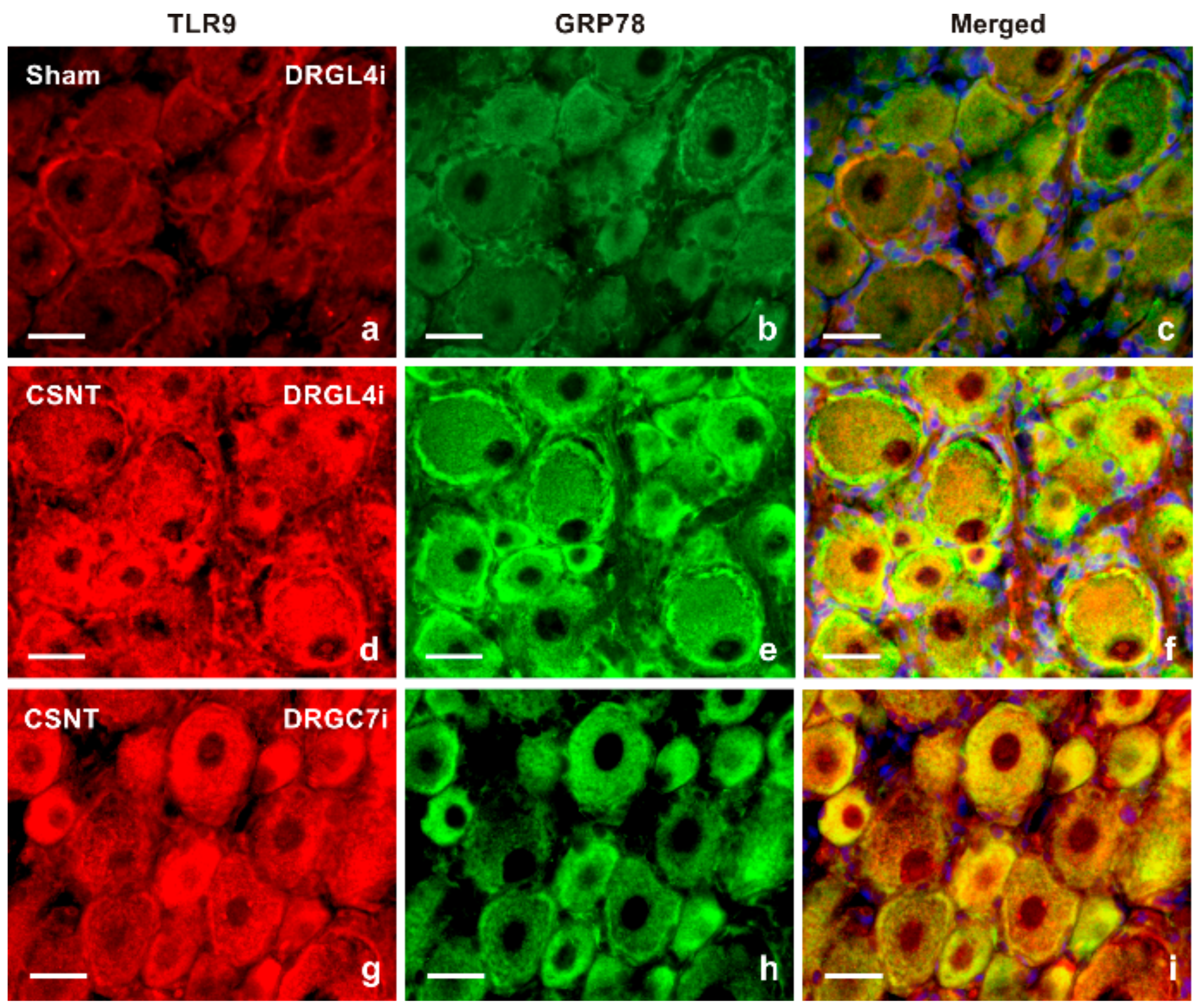 Ijms 22 07446 g003 550