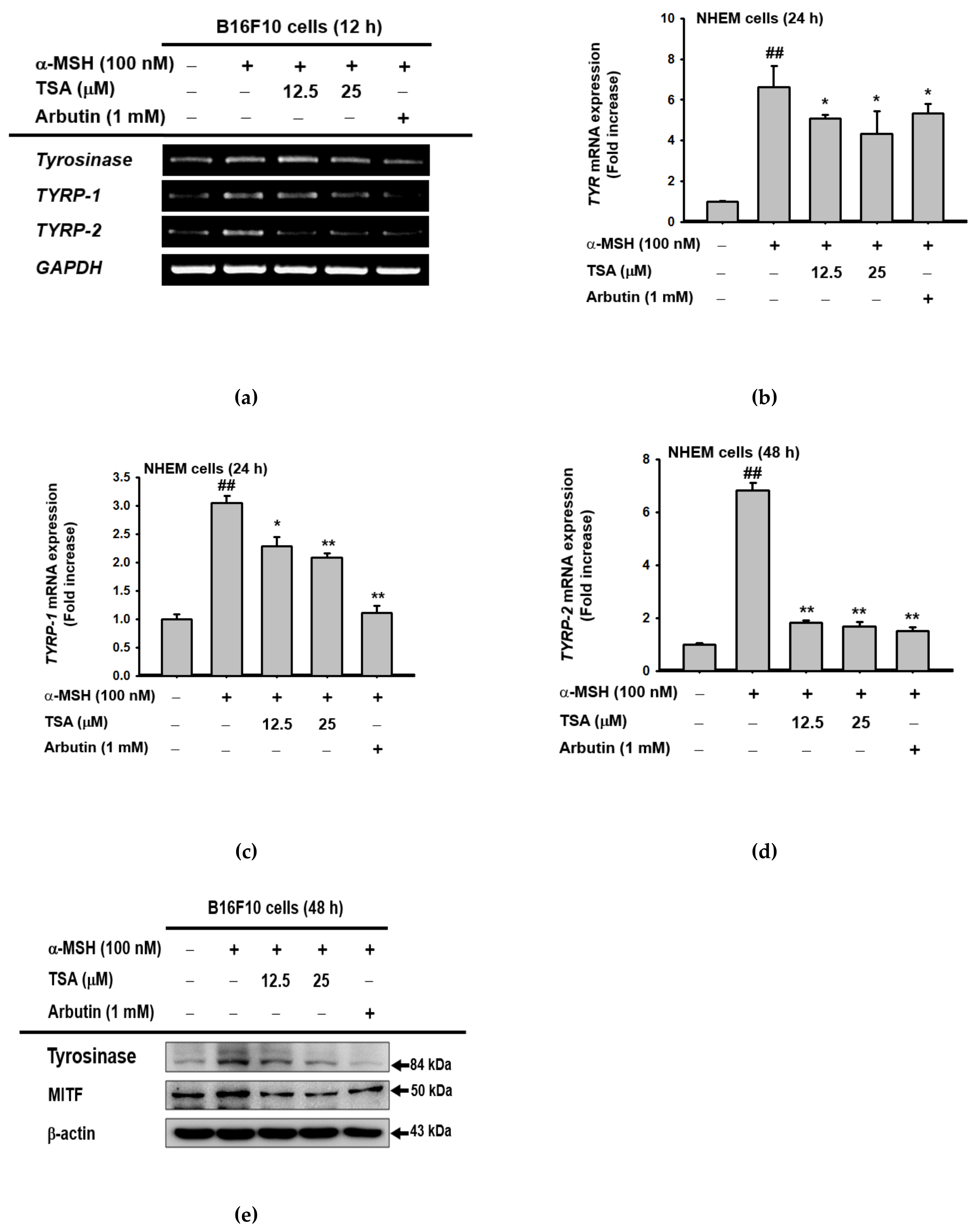 Ijms 22 07453 g003 550