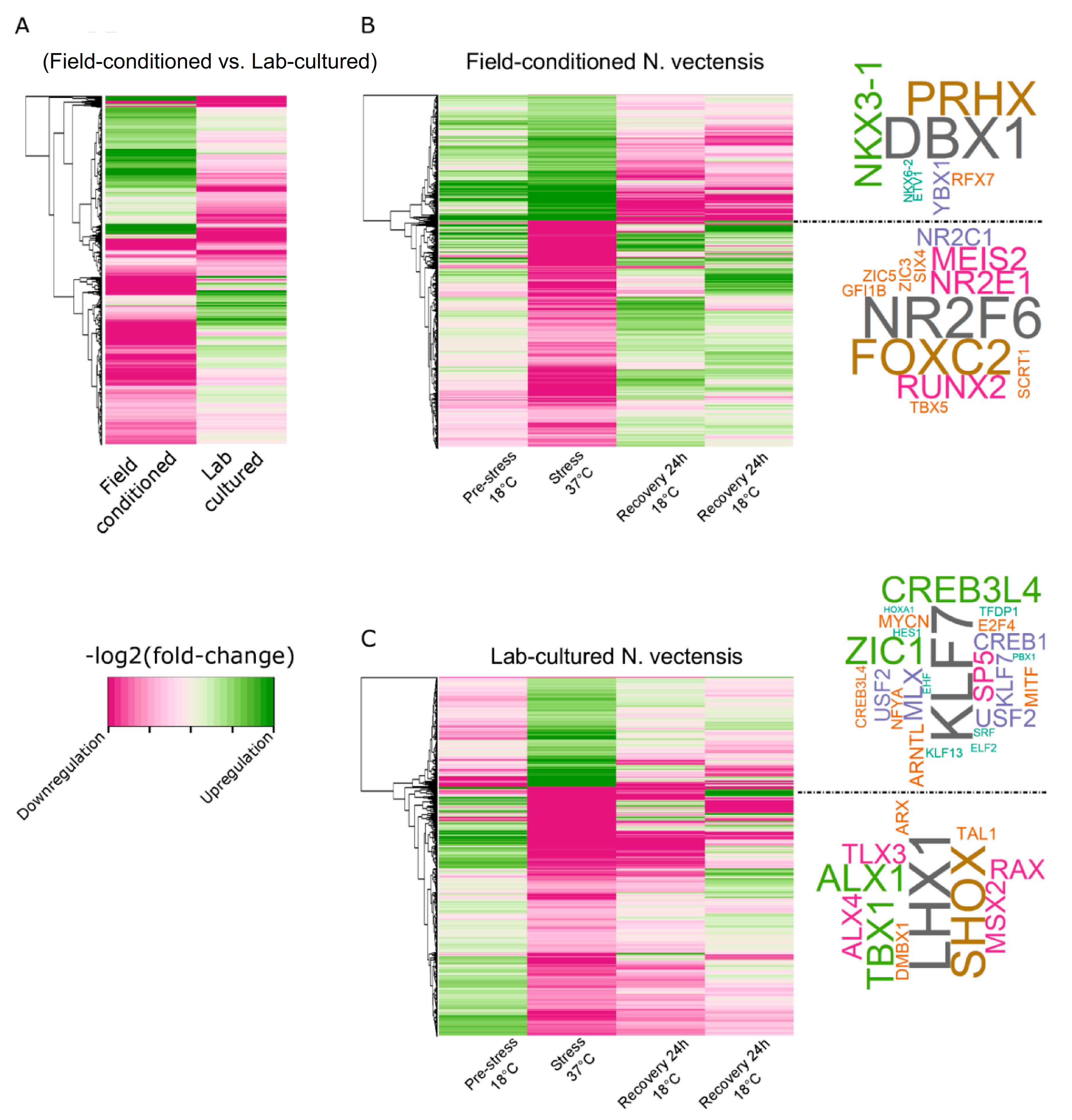 Ijms 22 07454 g003 550