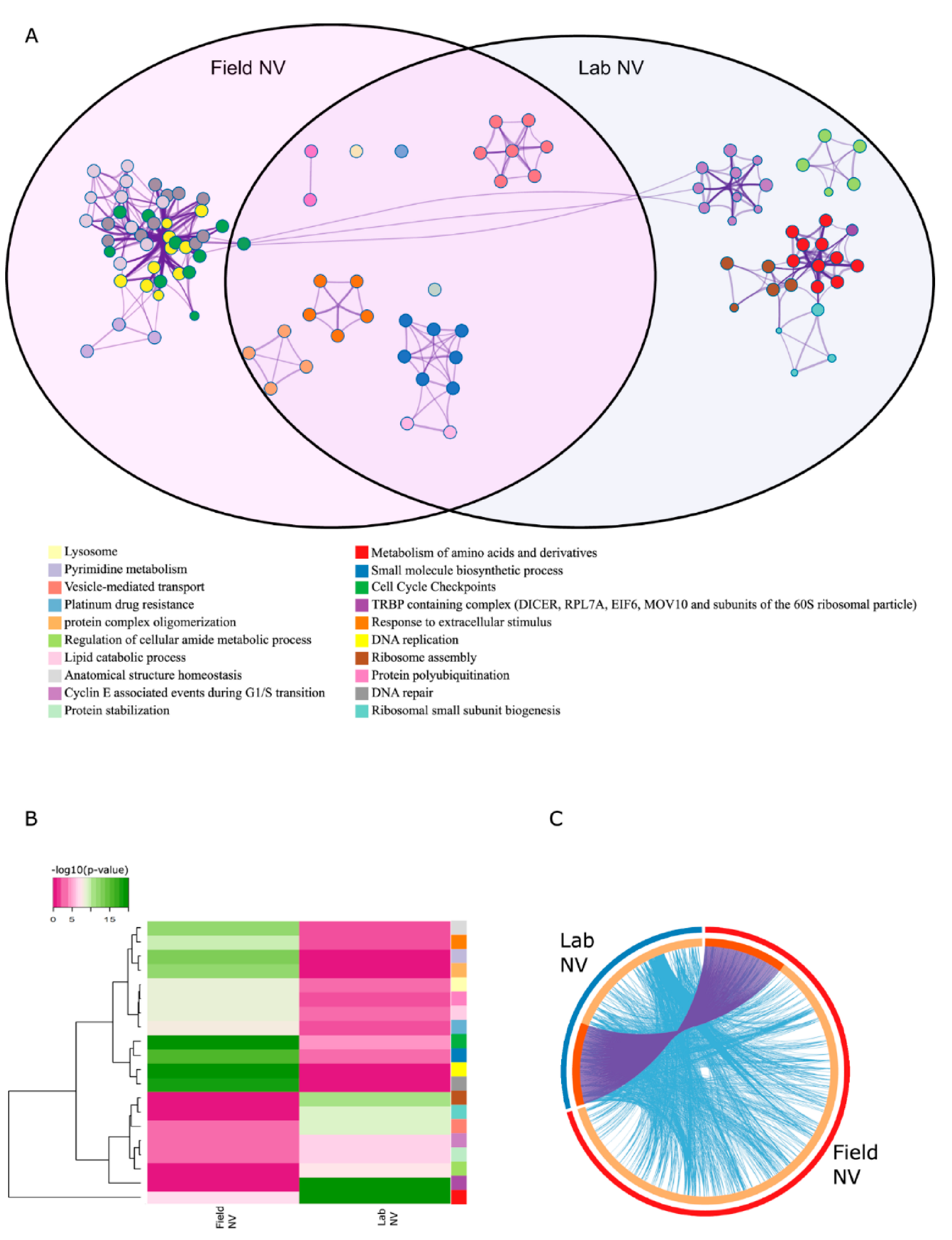 Ijms 22 07454 g005 550