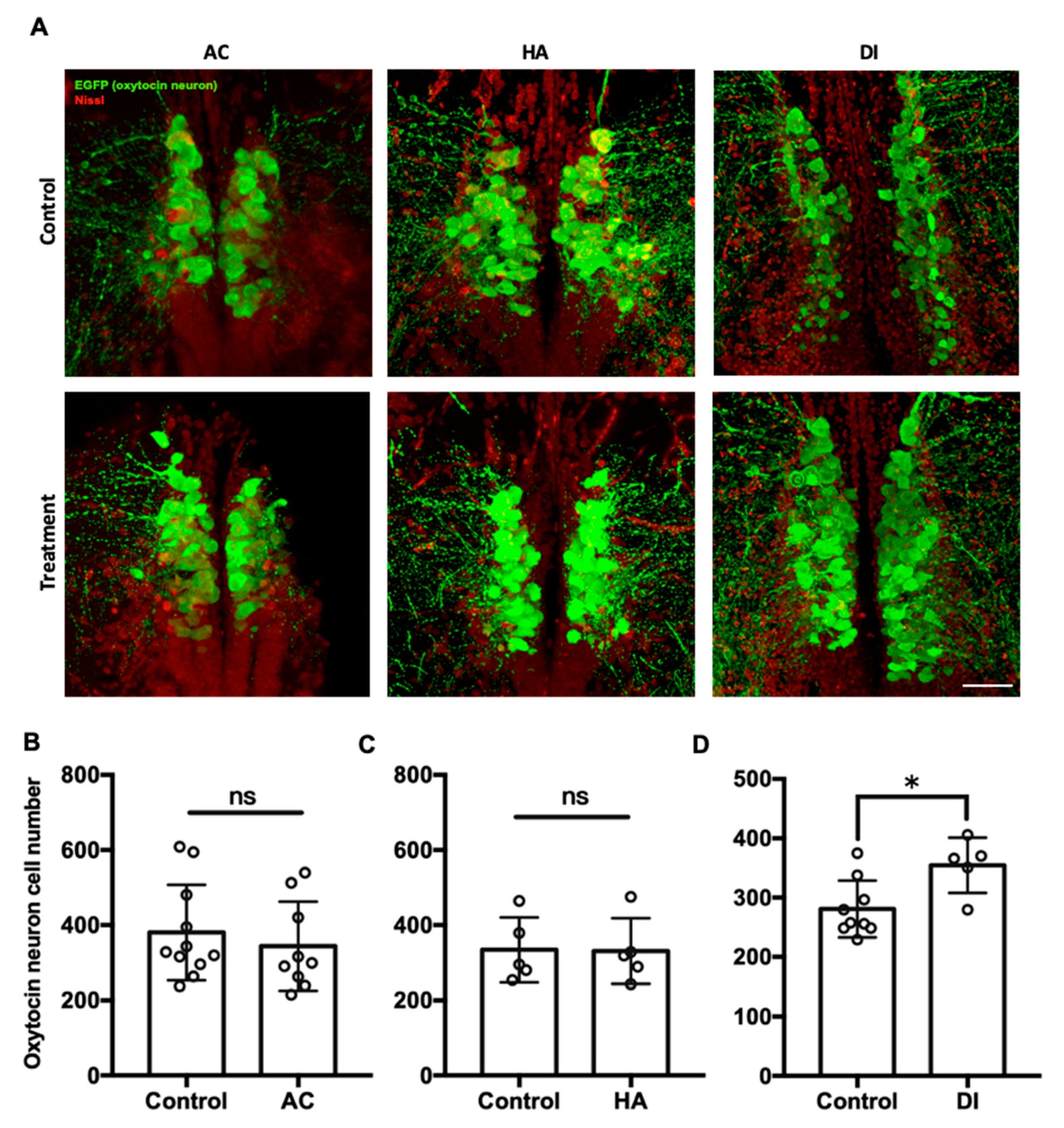 Ijms 22 07459 g004 550