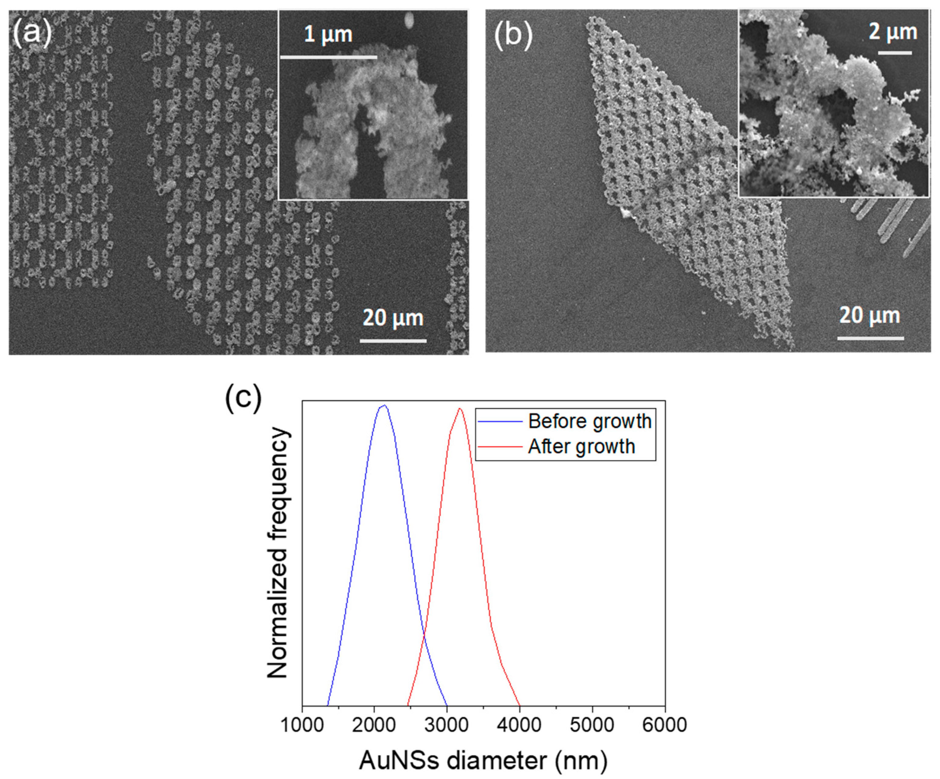 Ijms 22 07465 g006 550