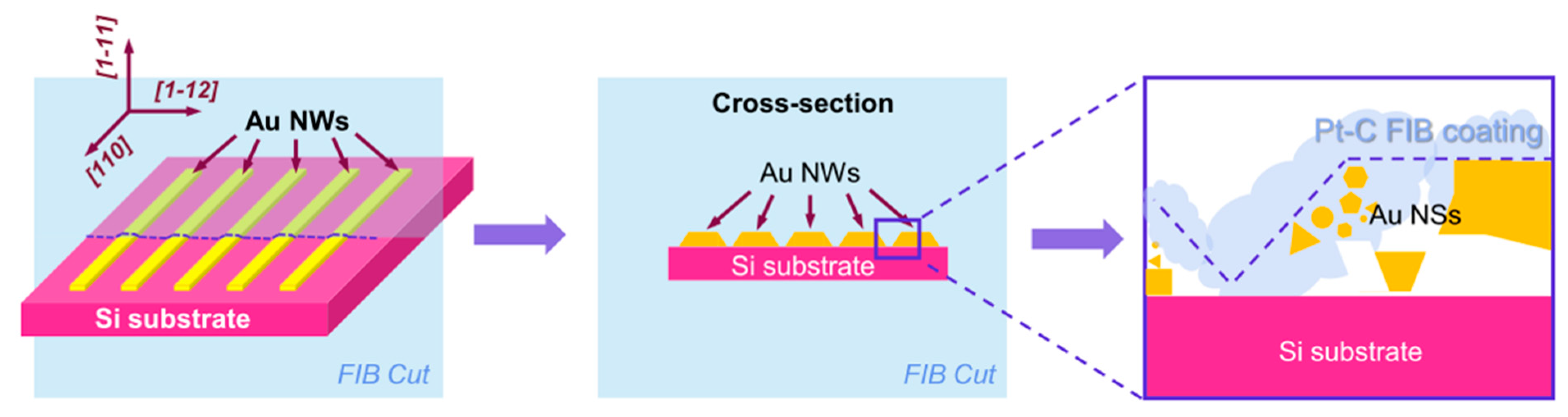 Ijms 22 07465 g007 550