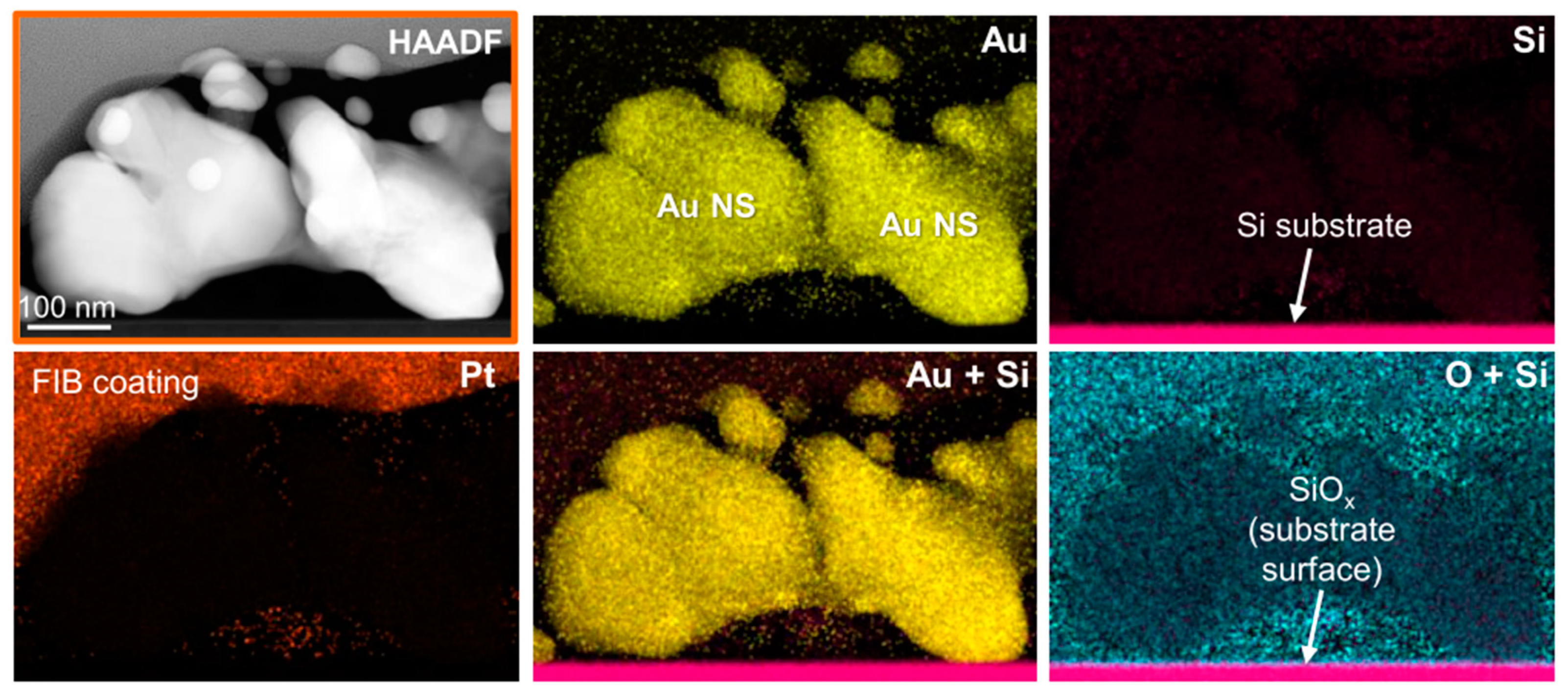 Ijms 22 07465 g009 550