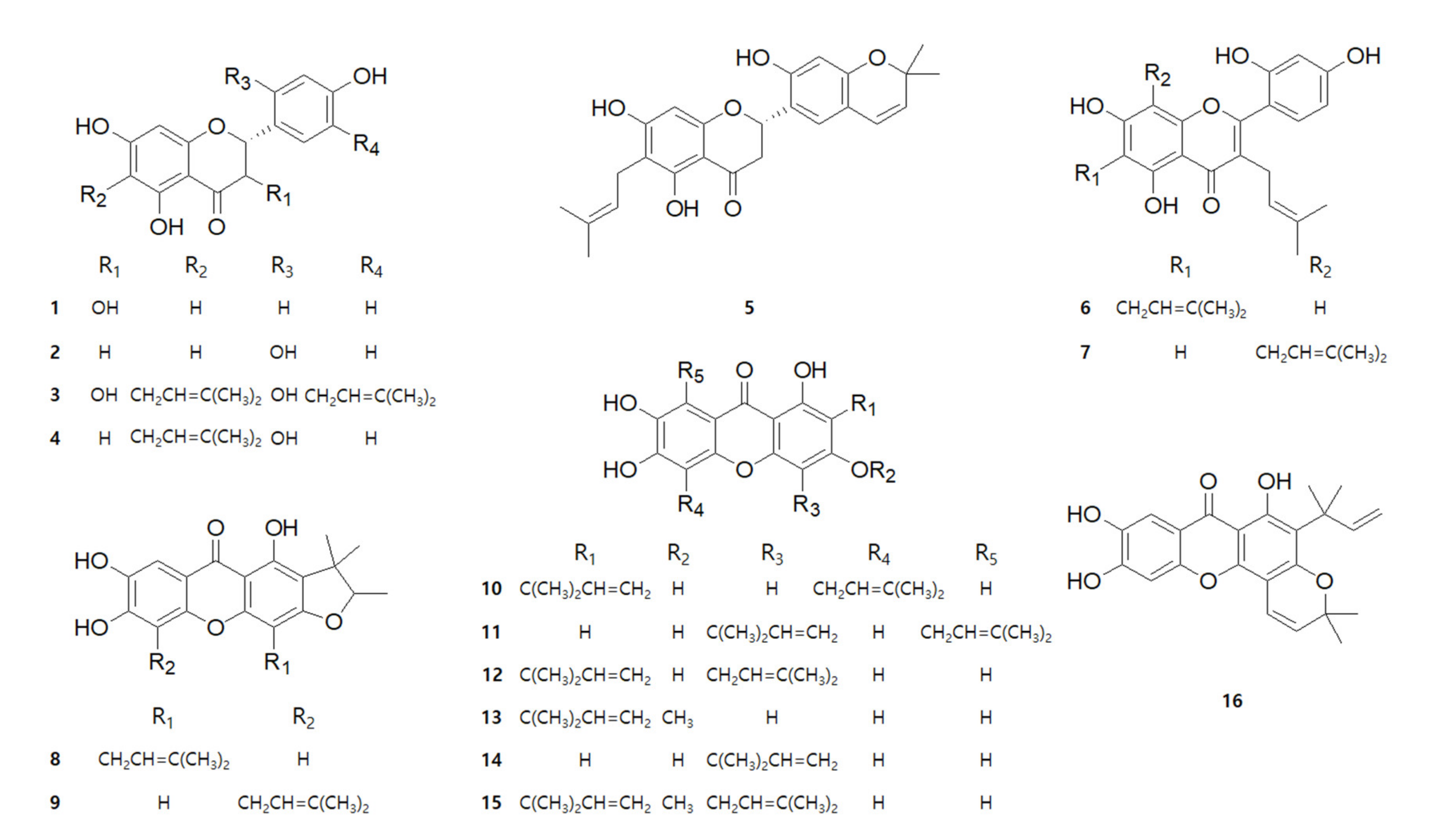 Ijms Free Full Text Anti Inflammatory Effects Of Compounds From Cudrania Tricuspidata In Hacat Human Keratinocytes Html Ijms Free Full Text Anti Inflammatory Effects Of Compounds From Cudrania Tricuspidata In Hacat Human Keratinocytes Html
