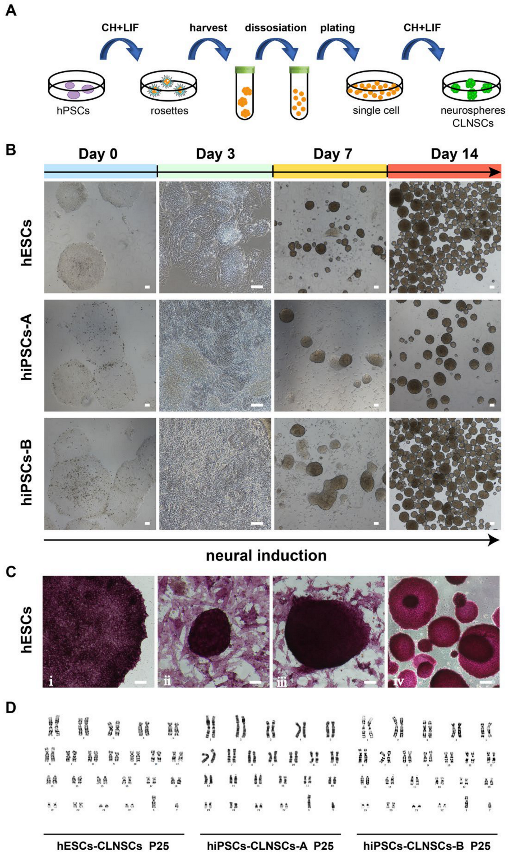 Ijms 22 07473 g001 550