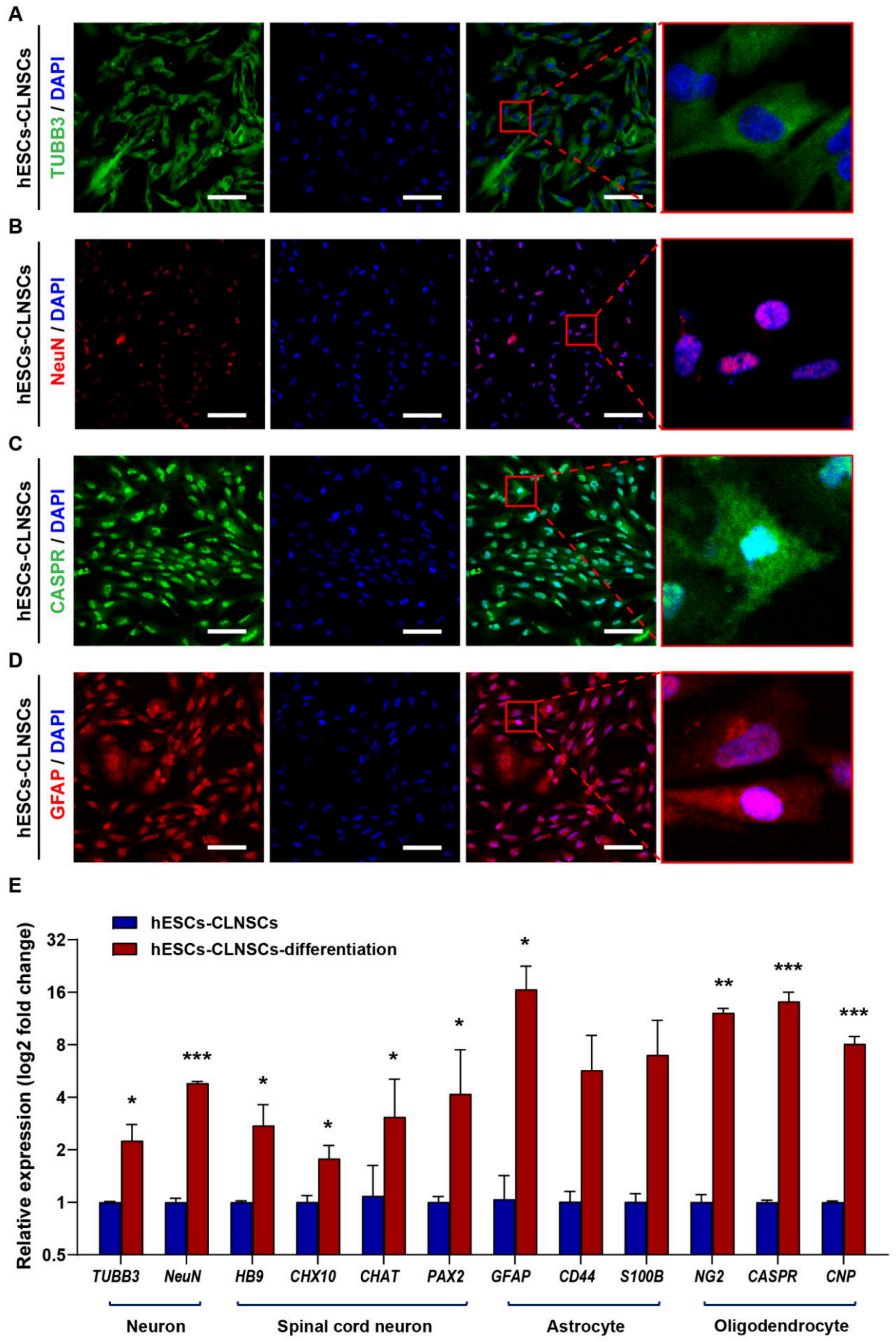 Ijms 22 07473 g003 550