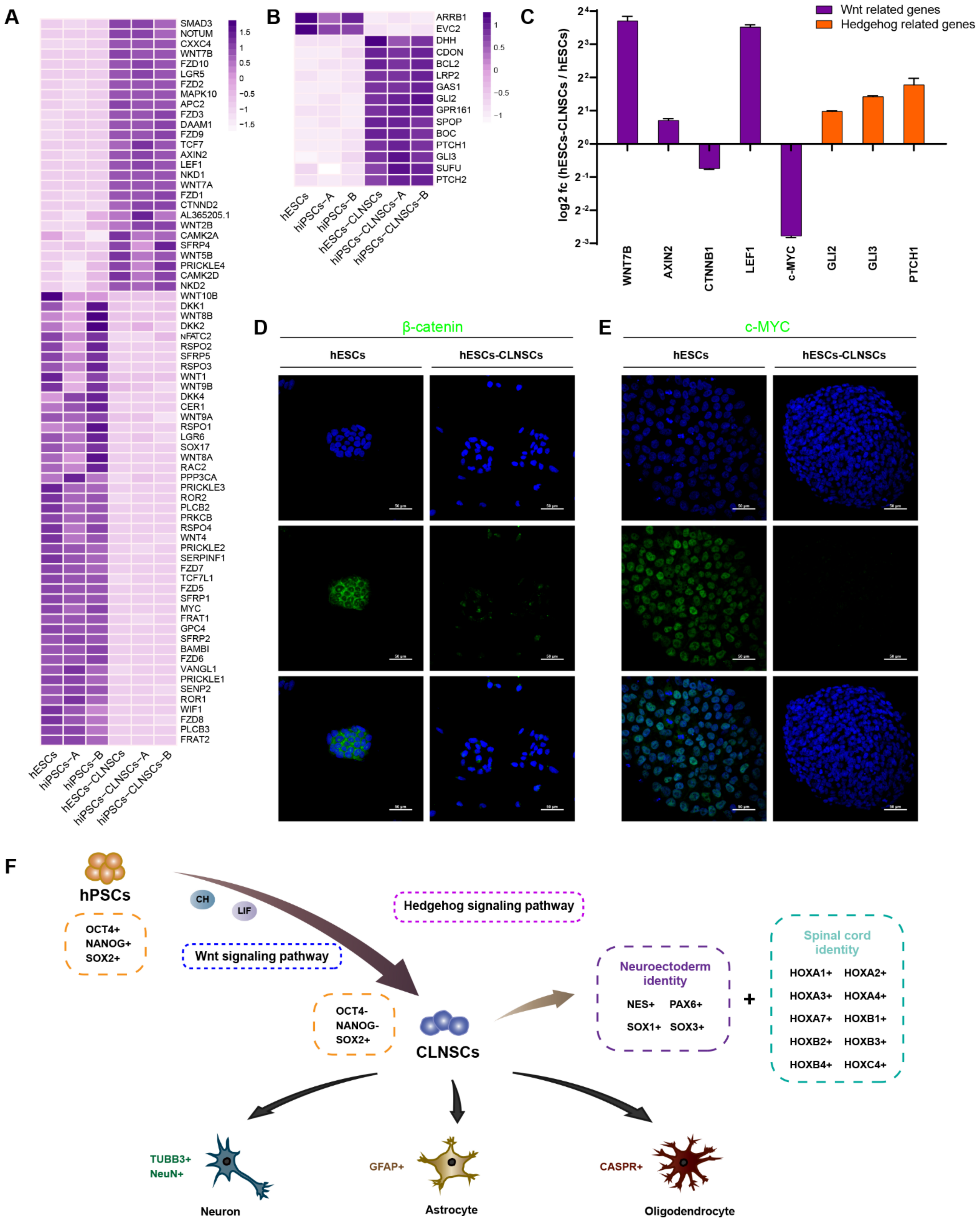 Ijms 22 07473 g006 550