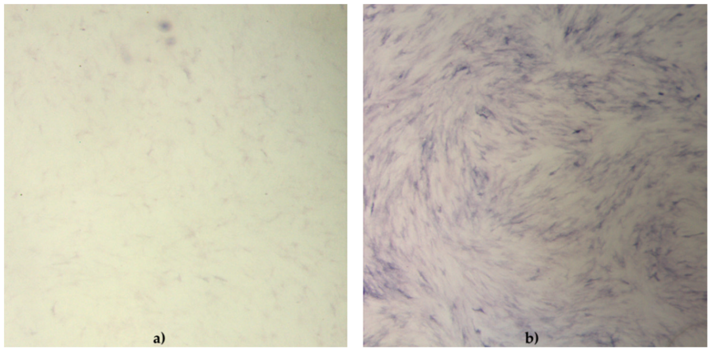 Ijms 22 07476 g002 550