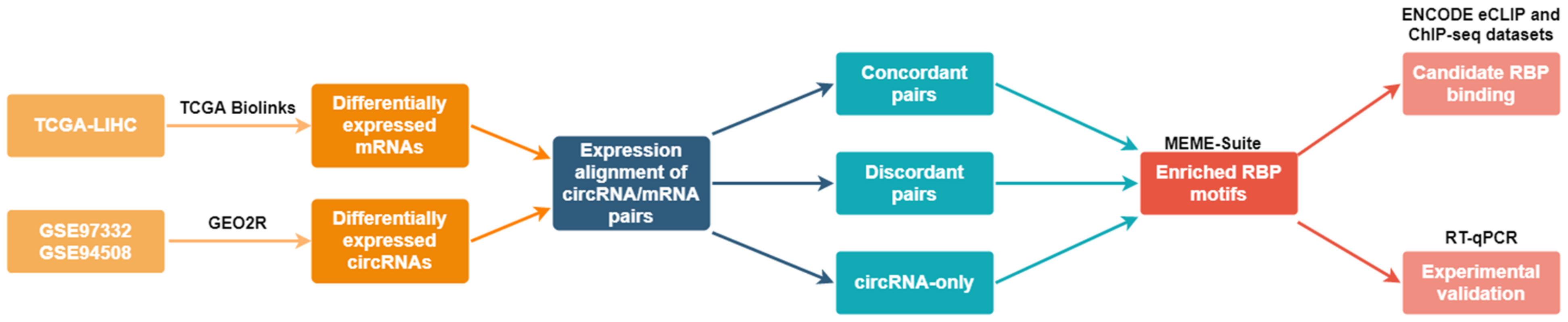 Ijms 22 07477 g001 Ijms 22 07477 g001