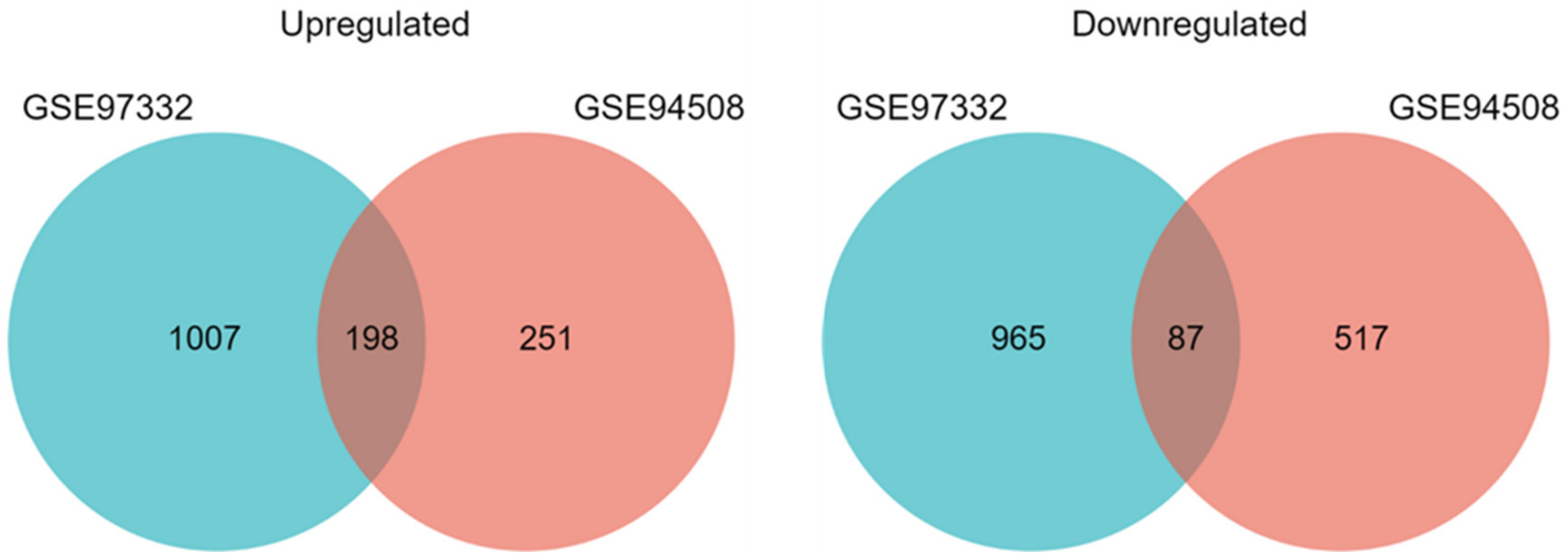 Ijms 22 07477 g002 Ijms 22 07477 g002