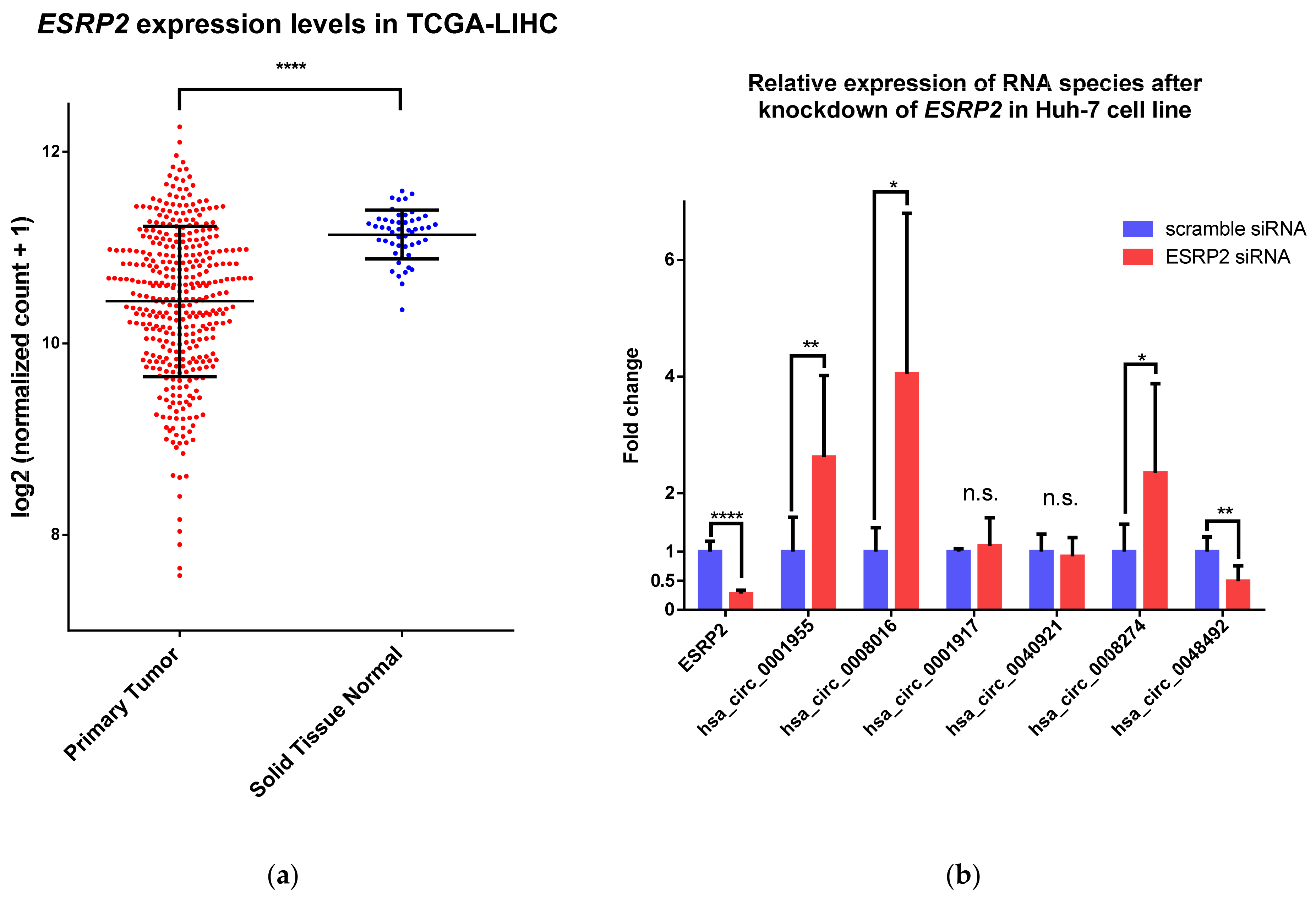 Ijms 22 07477 g004 Ijms 22 07477 g004