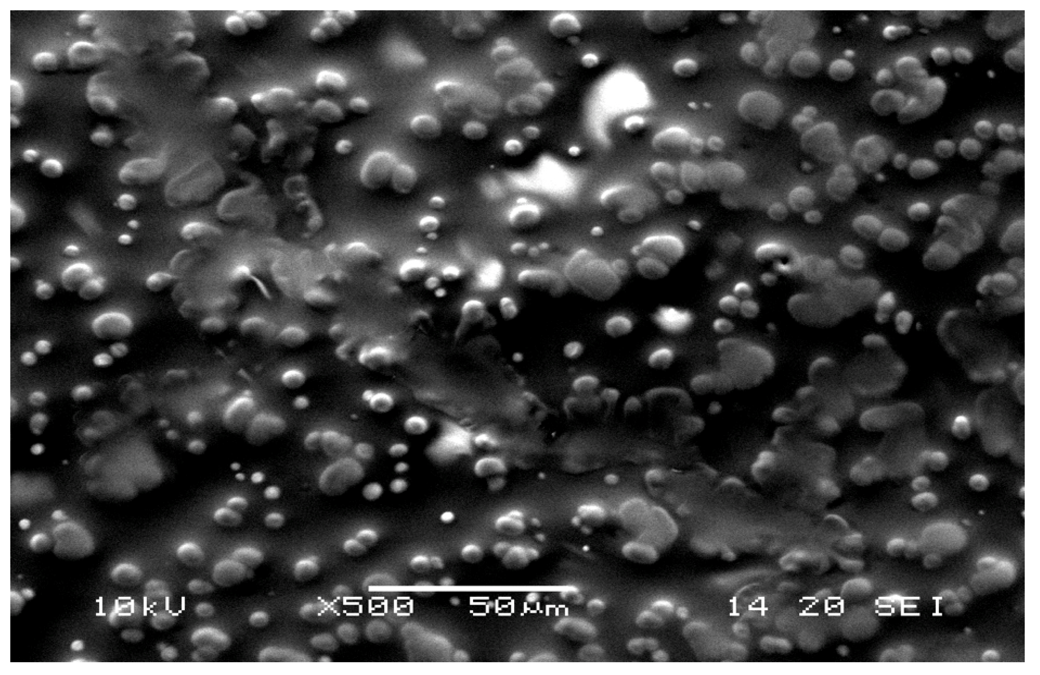 Ijms 22 07486 g005 Ijms 22 07486 g005