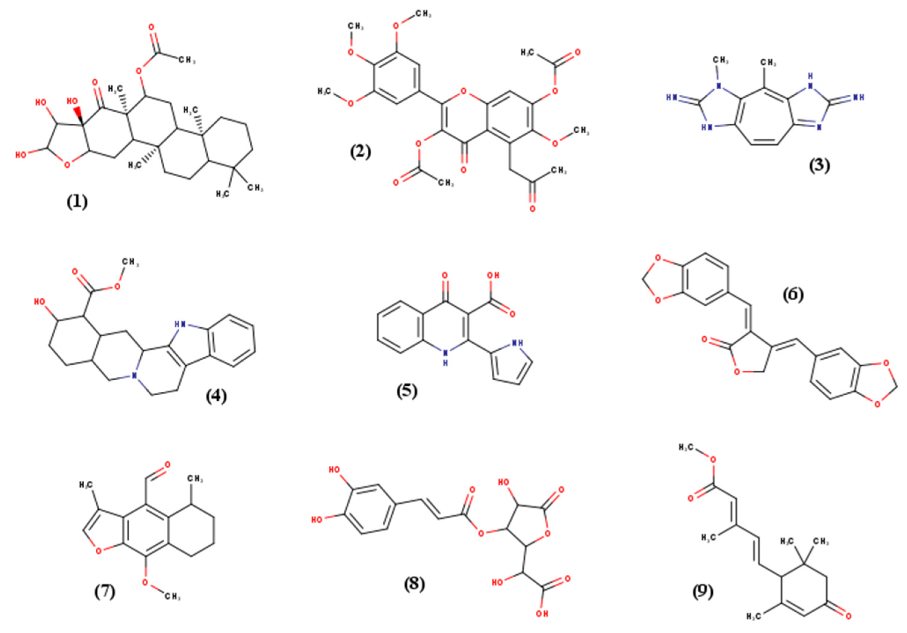 Ijms 22 07489 g008 550
