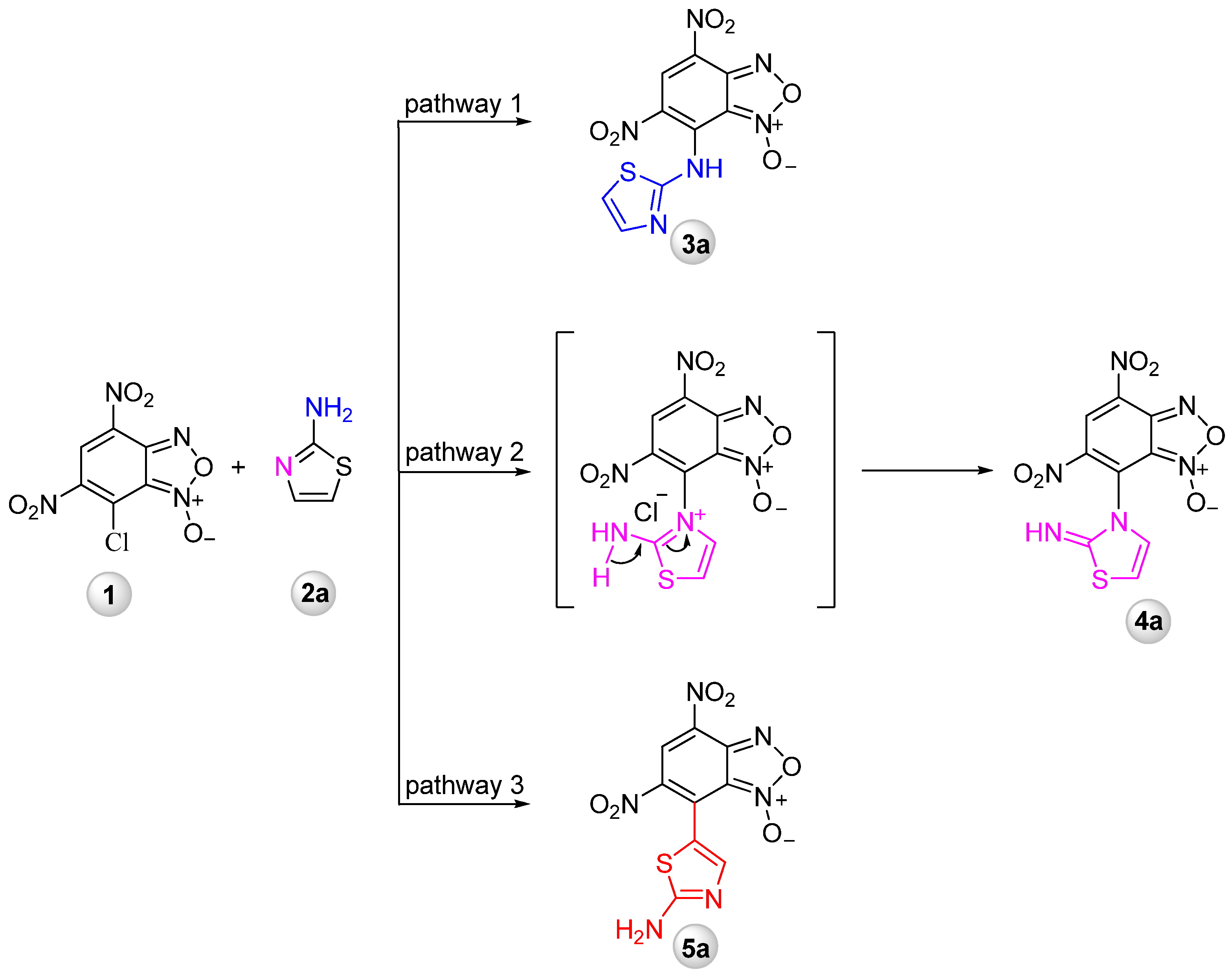 Ijms 22 07497 sch001
