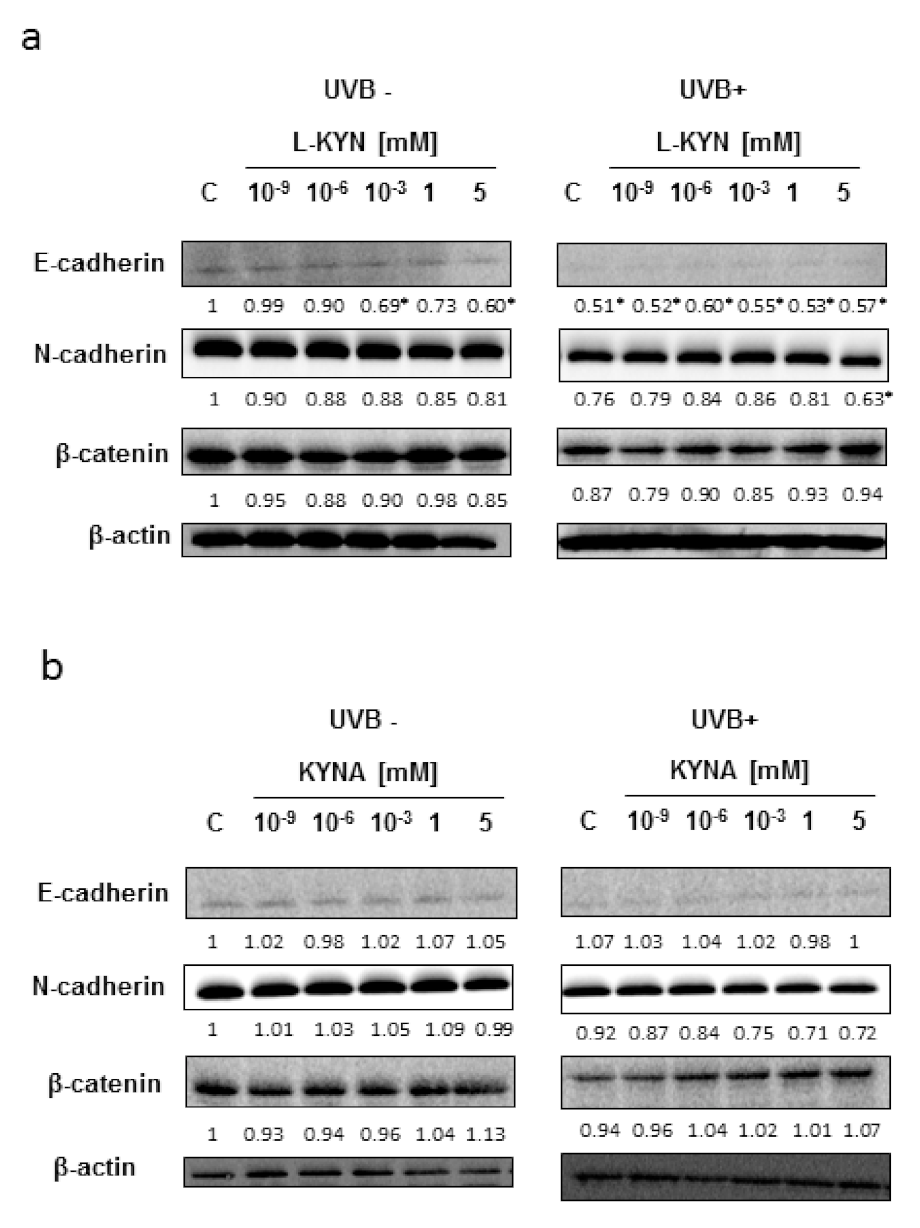 Ijms 22 07500 g003 550