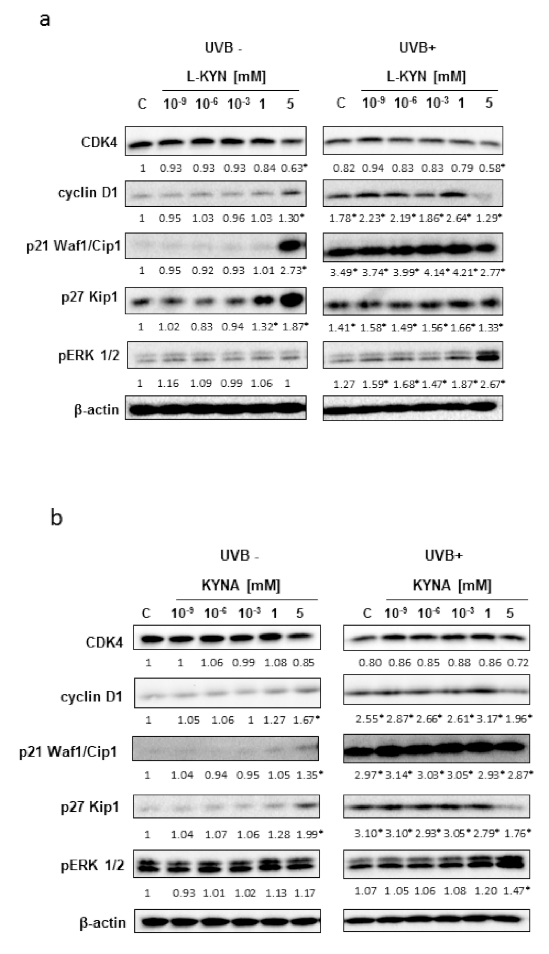 Ijms 22 07500 g005 550
