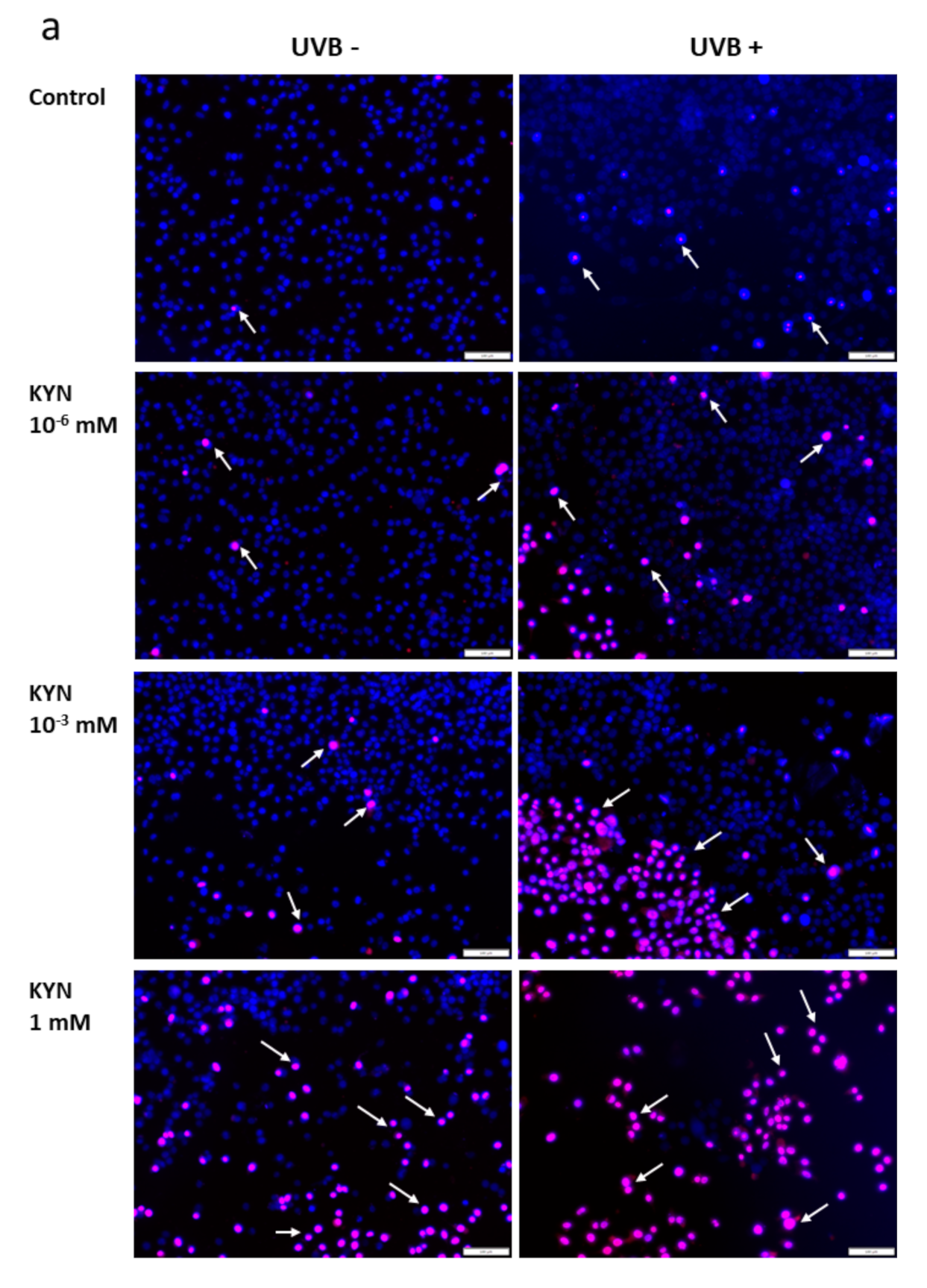 Ijms 22 07500 g006a 550